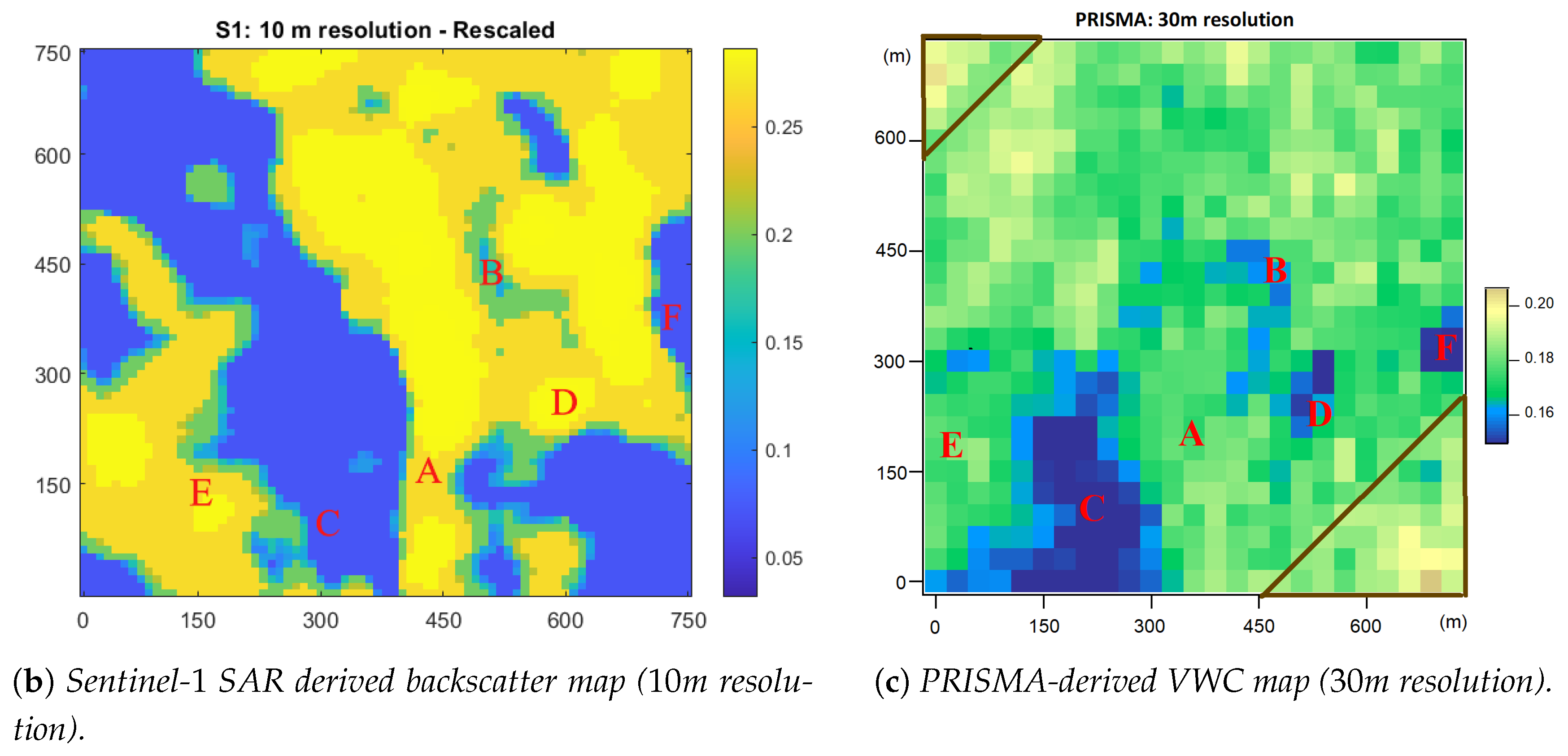Preprints 187930 g006b