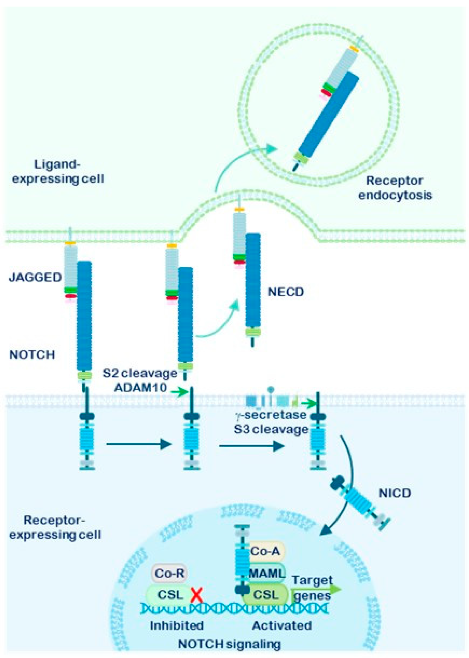 Preprints 185360 g003