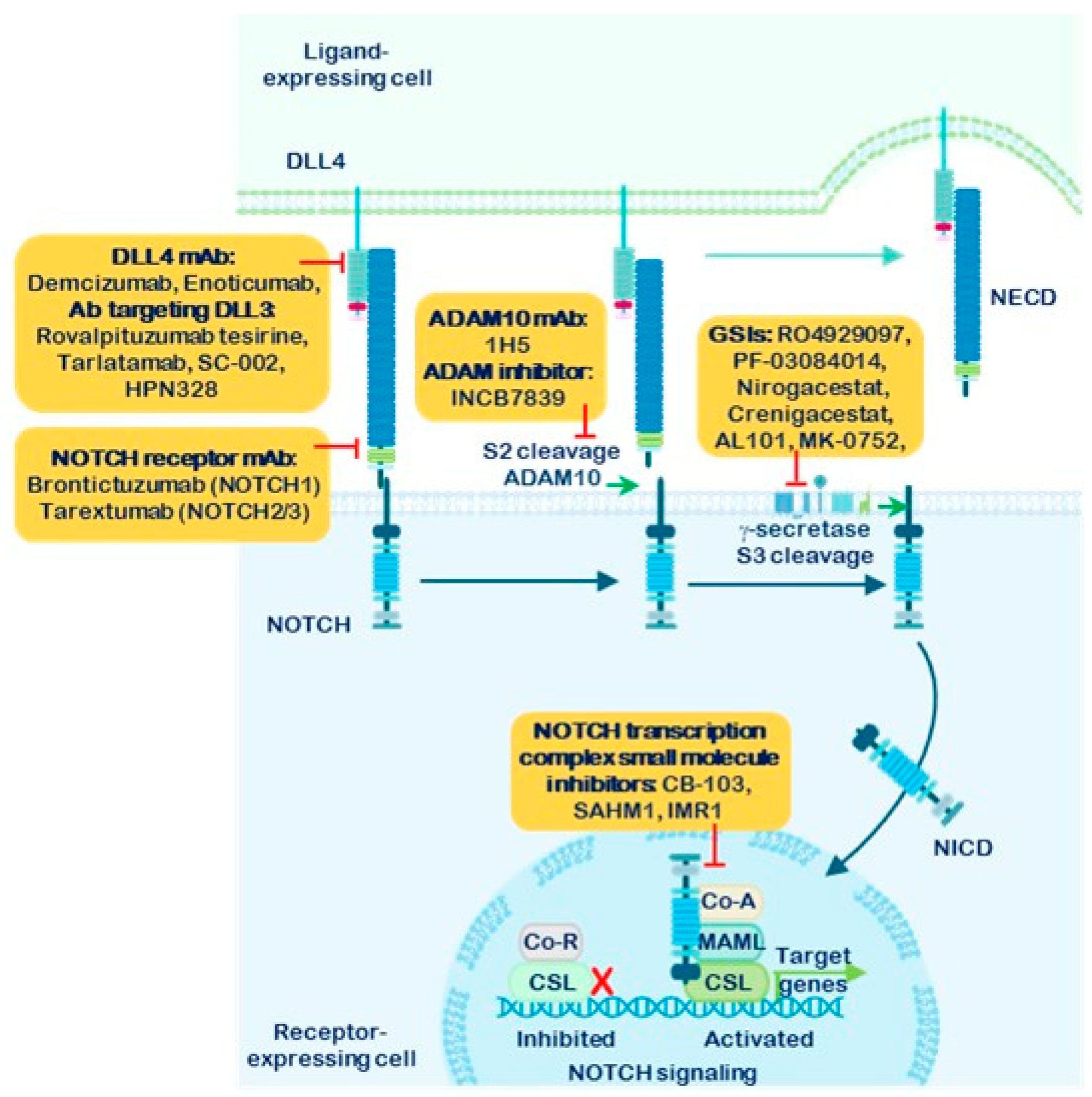 Preprints 185360 g005
