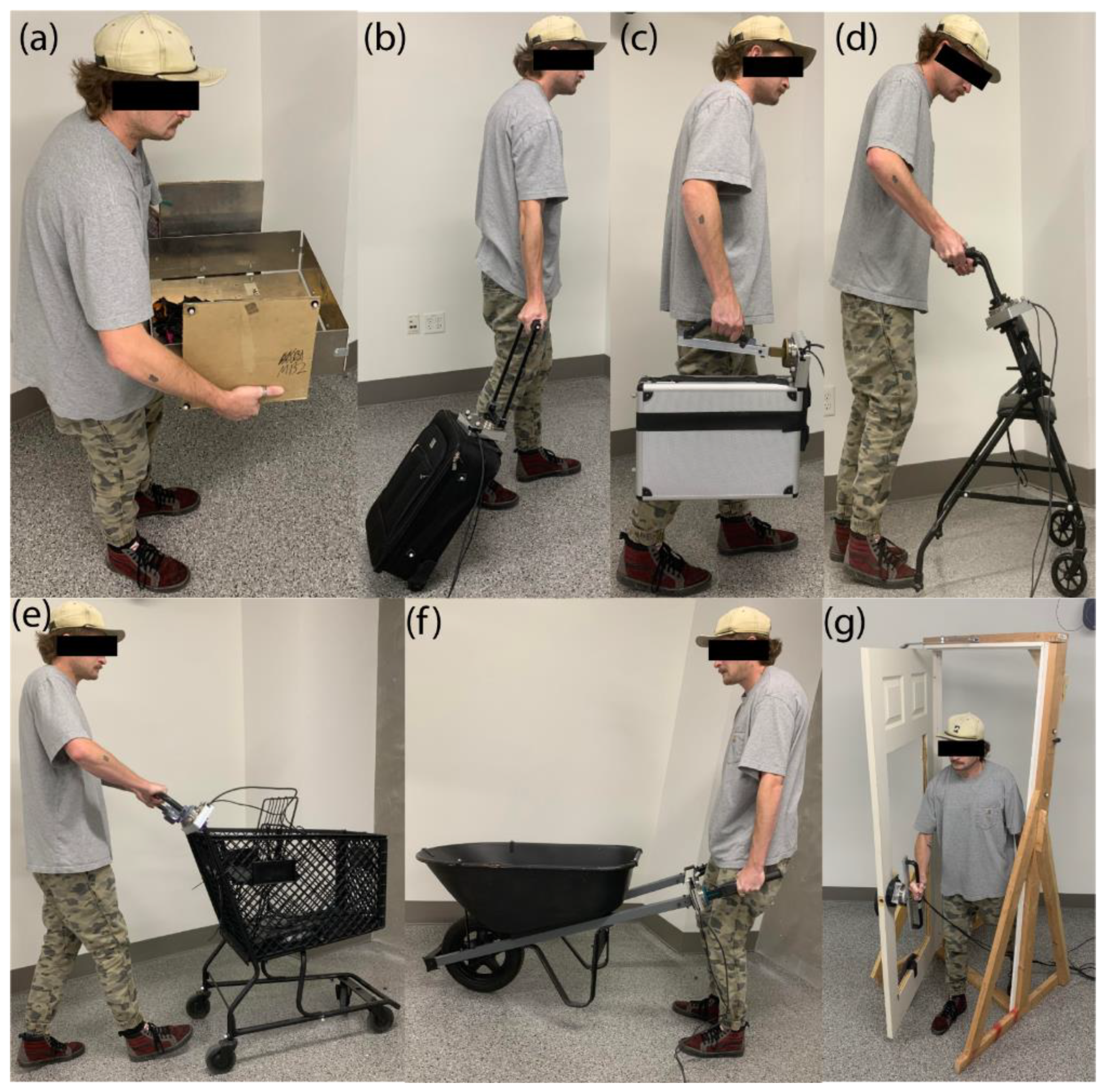 Preprints 144802 g001