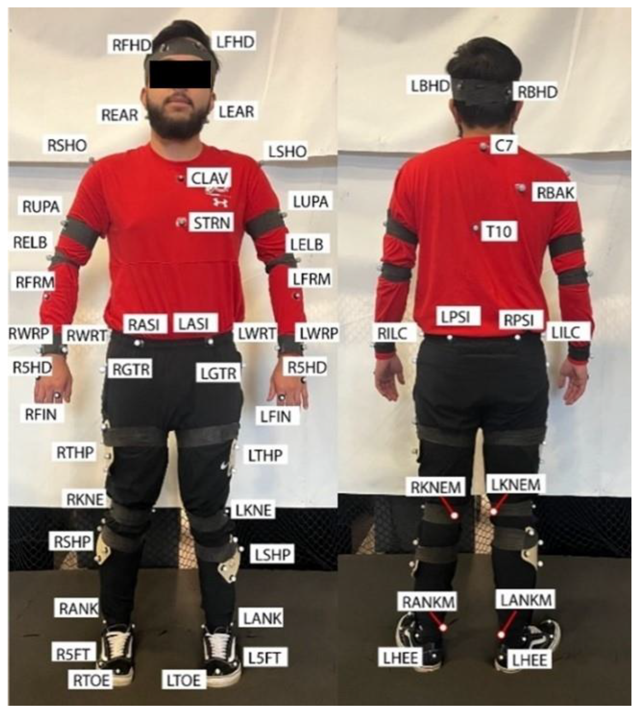 Preprints 144802 g002