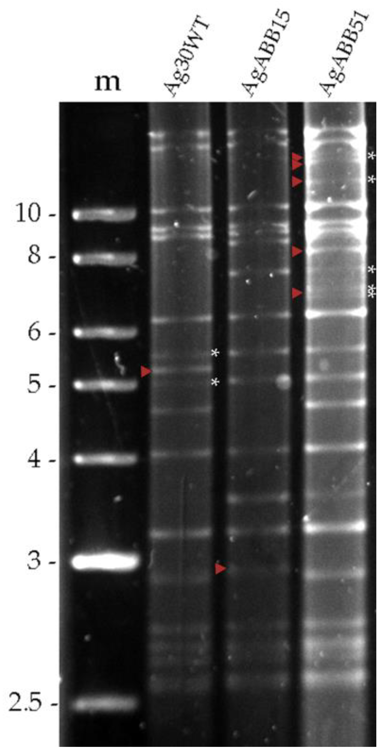 Preprints 76892 g001