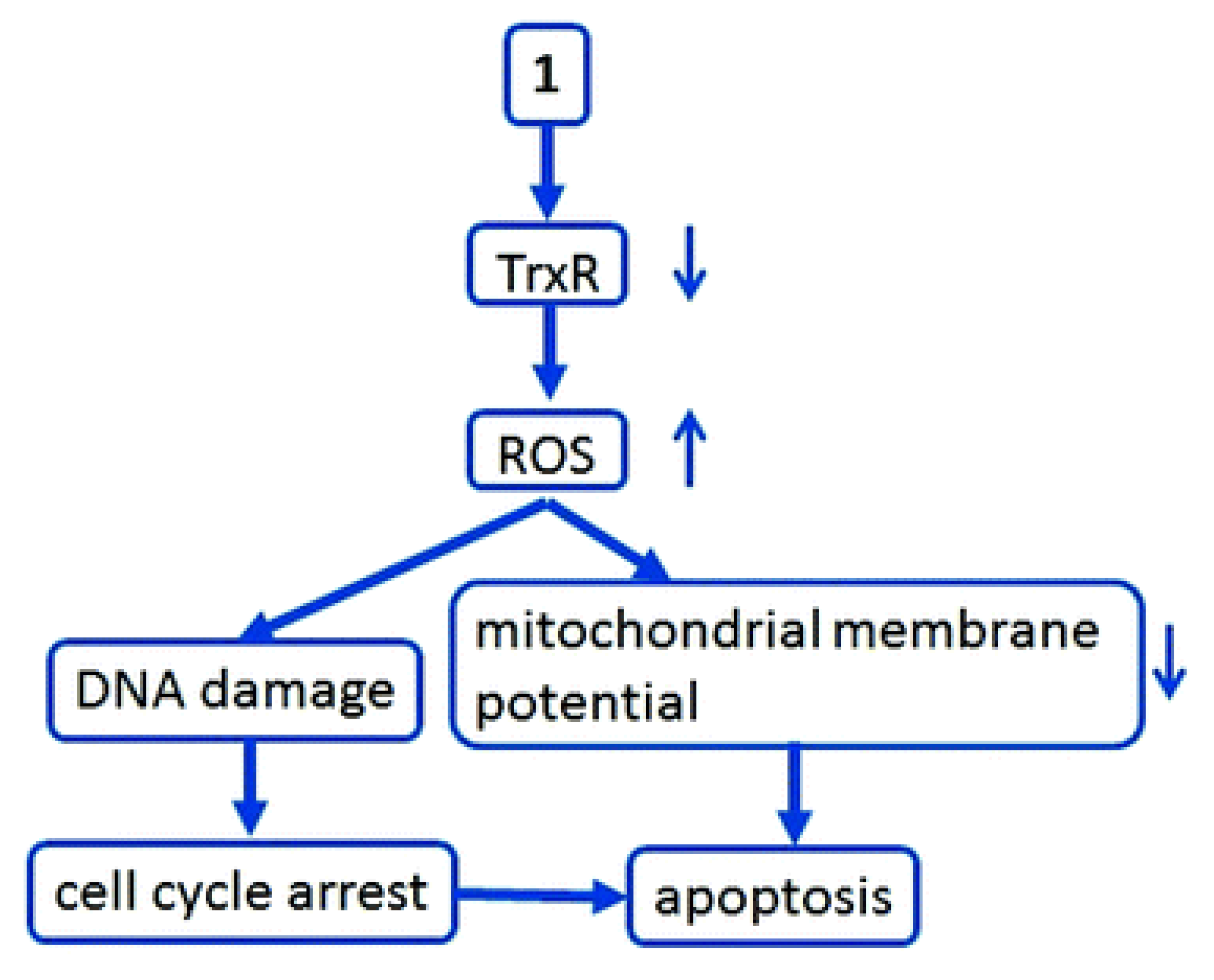 Preprints 142297 g014