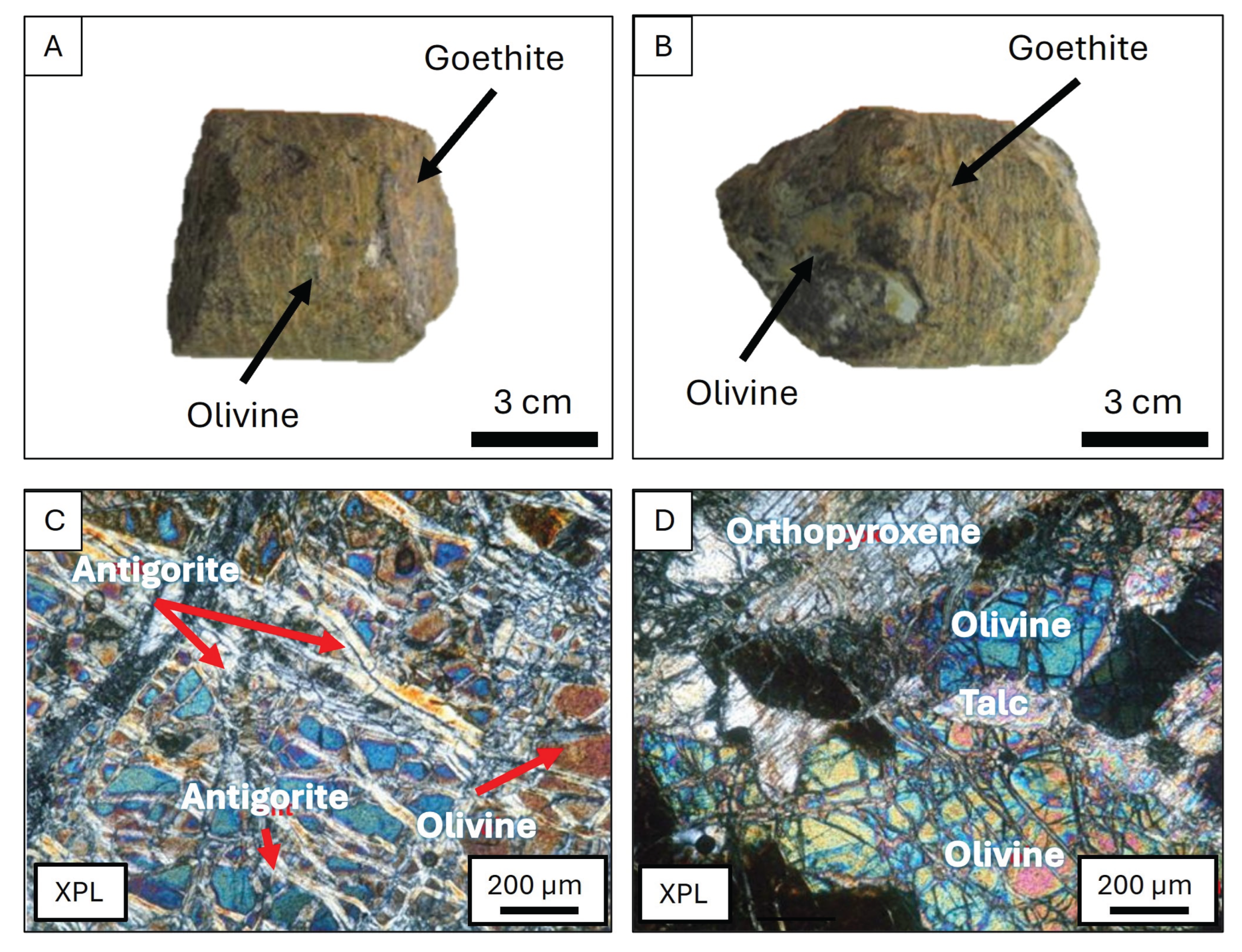 Preprints 197987 g002