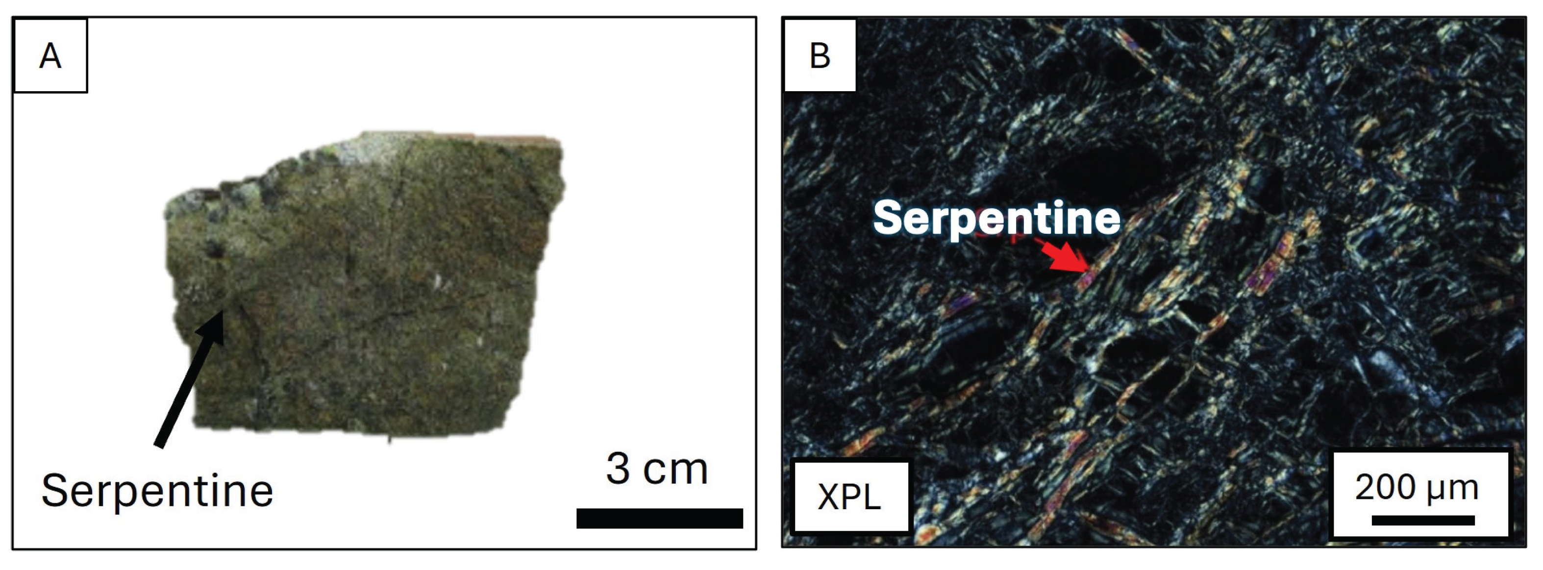 Preprints 197987 g003