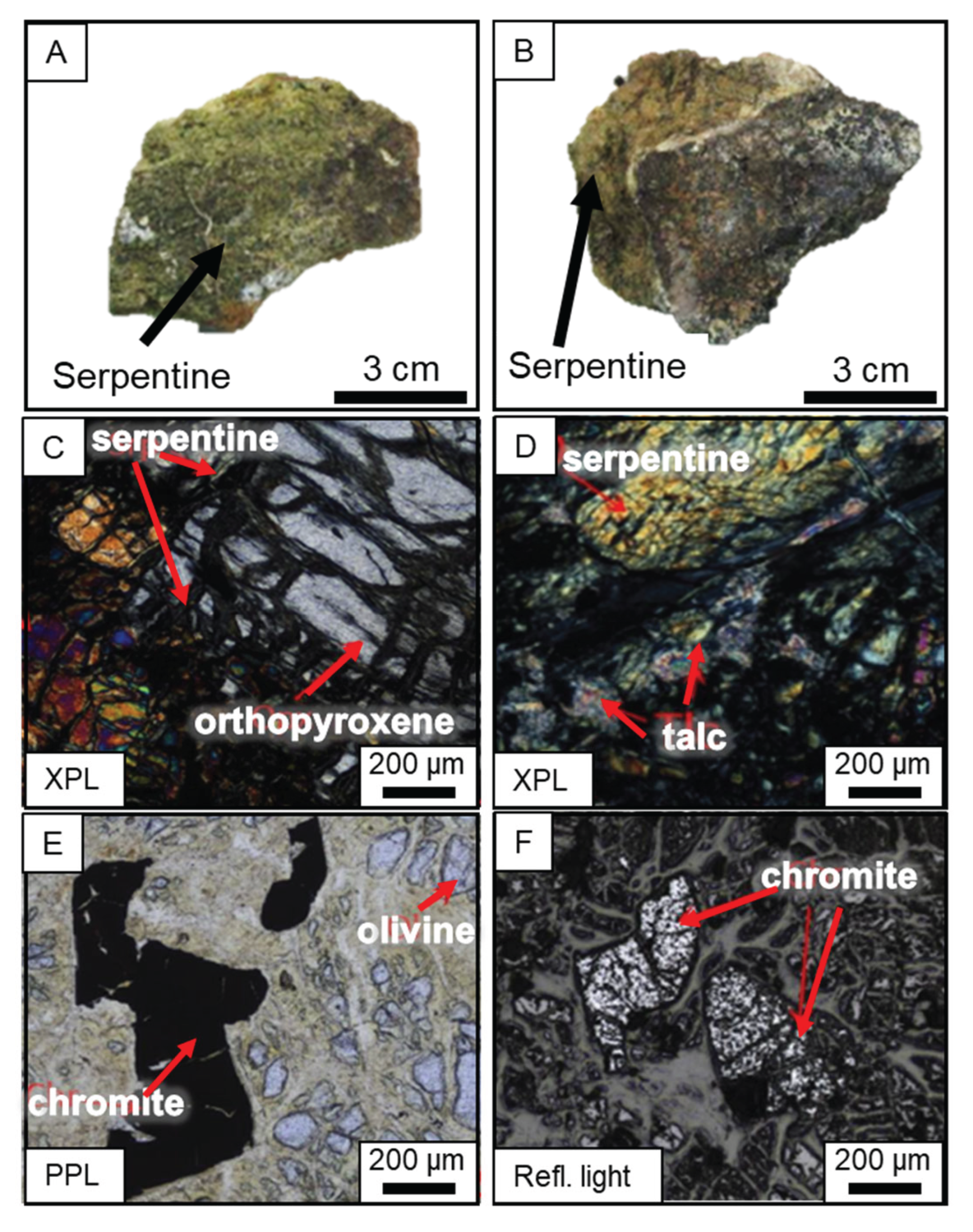 Preprints 197987 g004