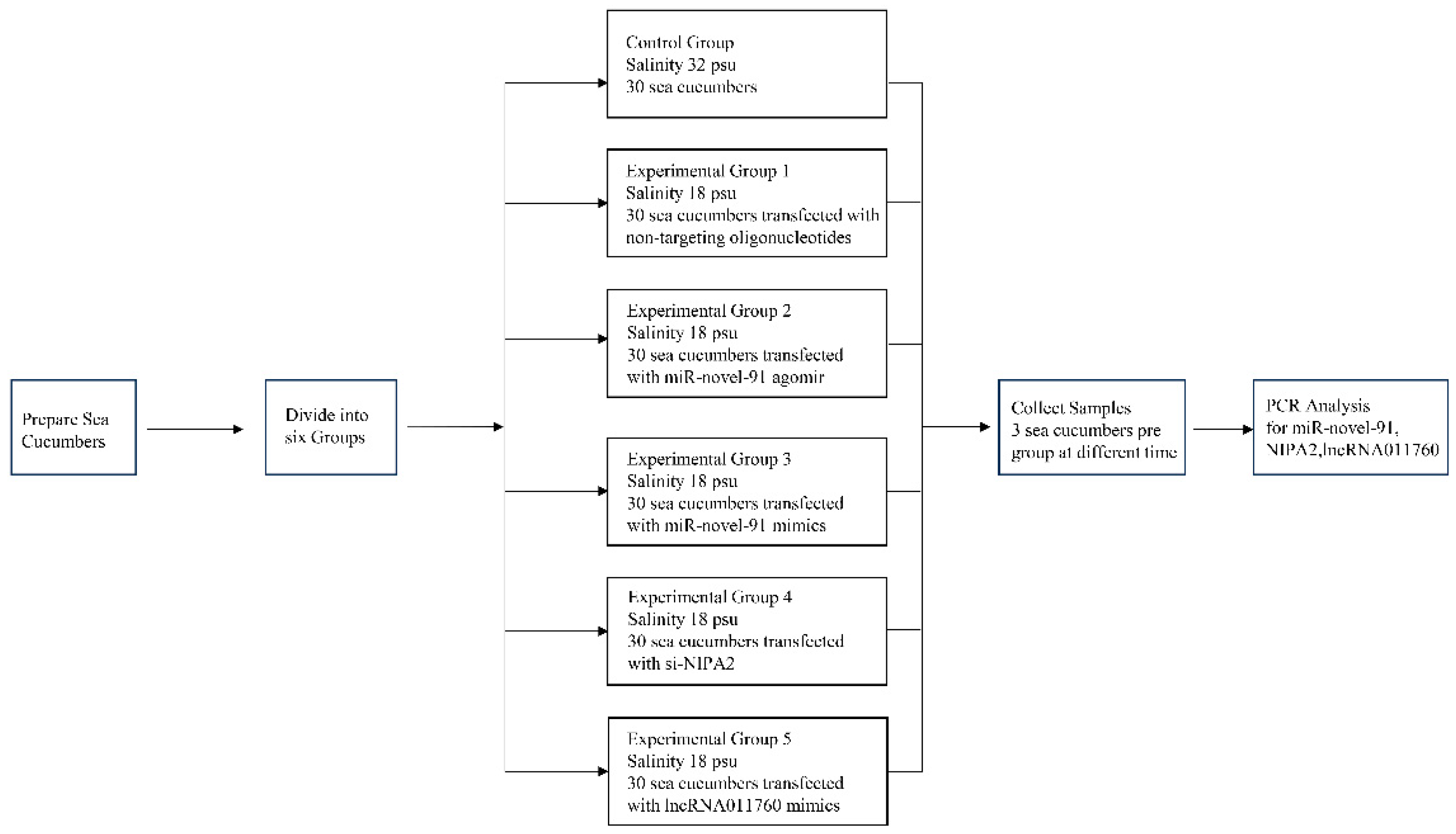Preprints 206934 g001
