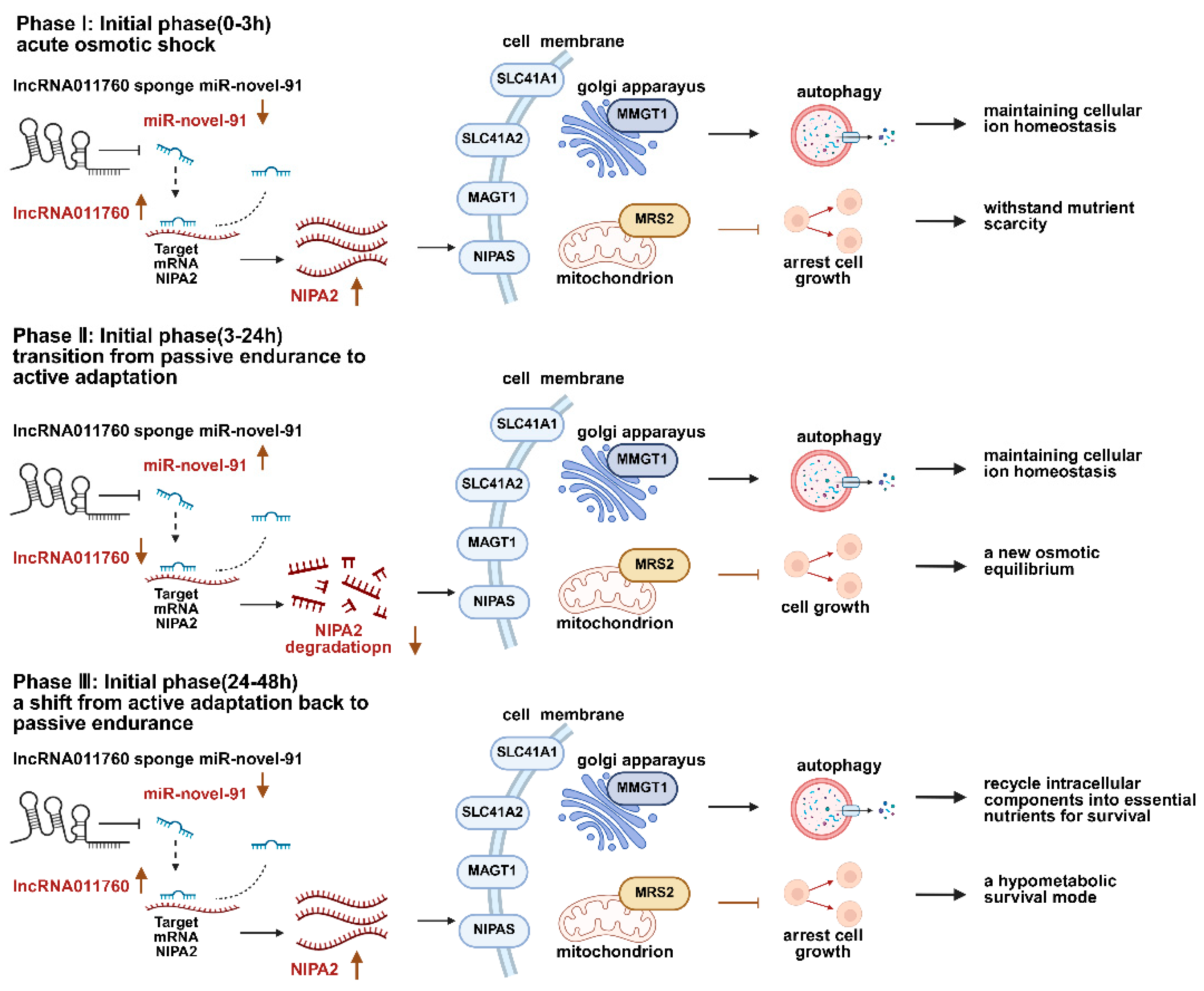 Preprints 206934 g005