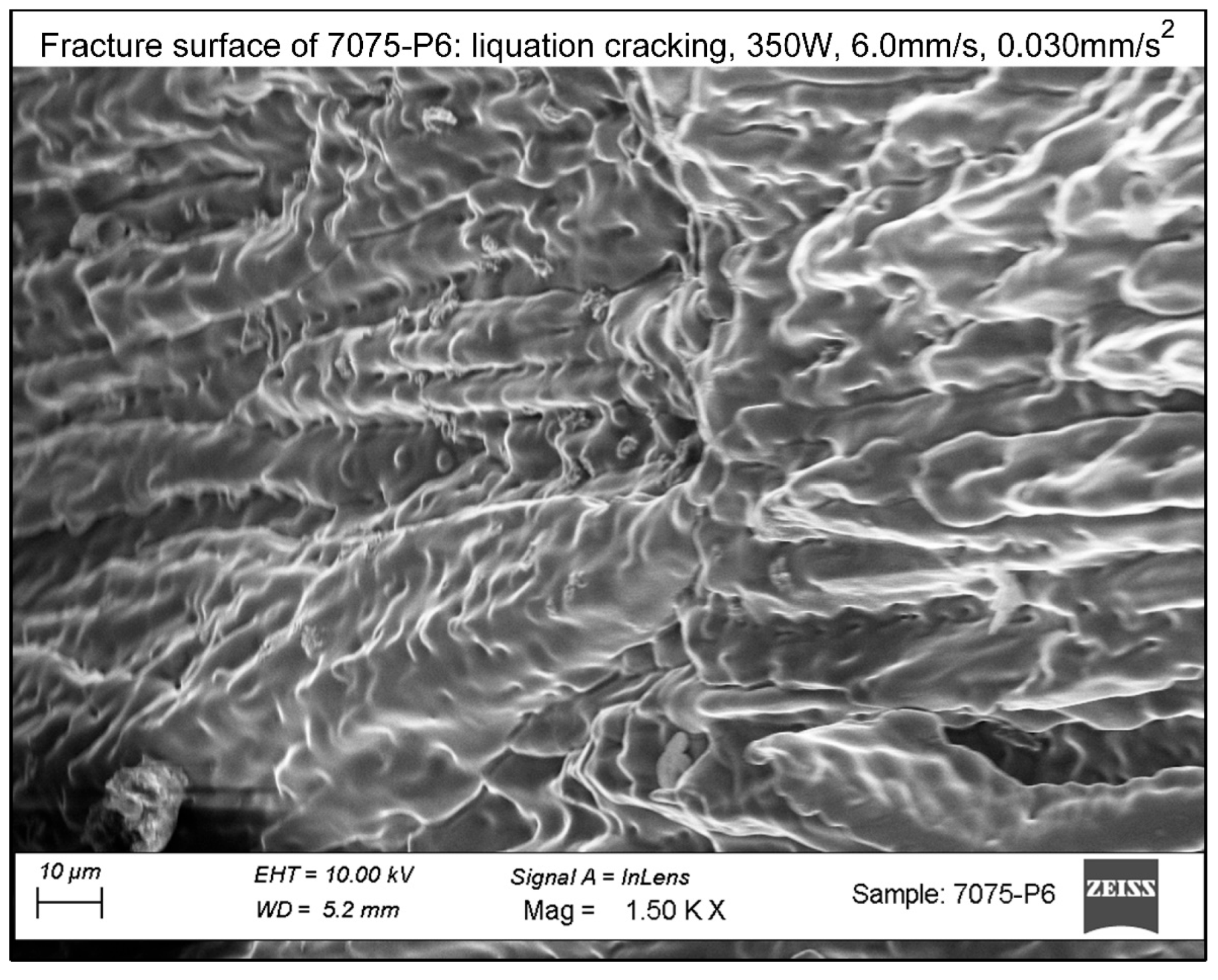 Preprints 175358 g011
