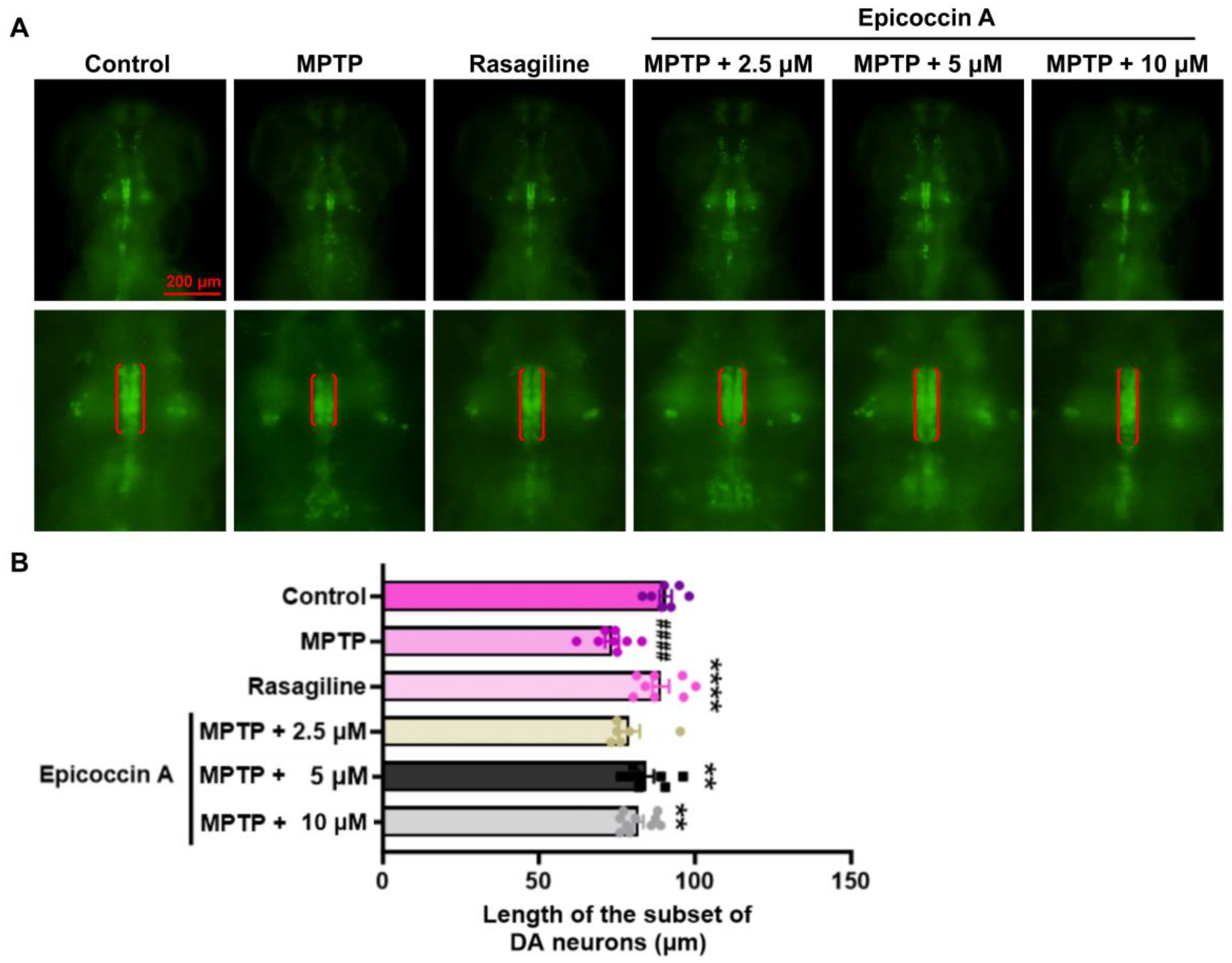 Preprints 152295 g001