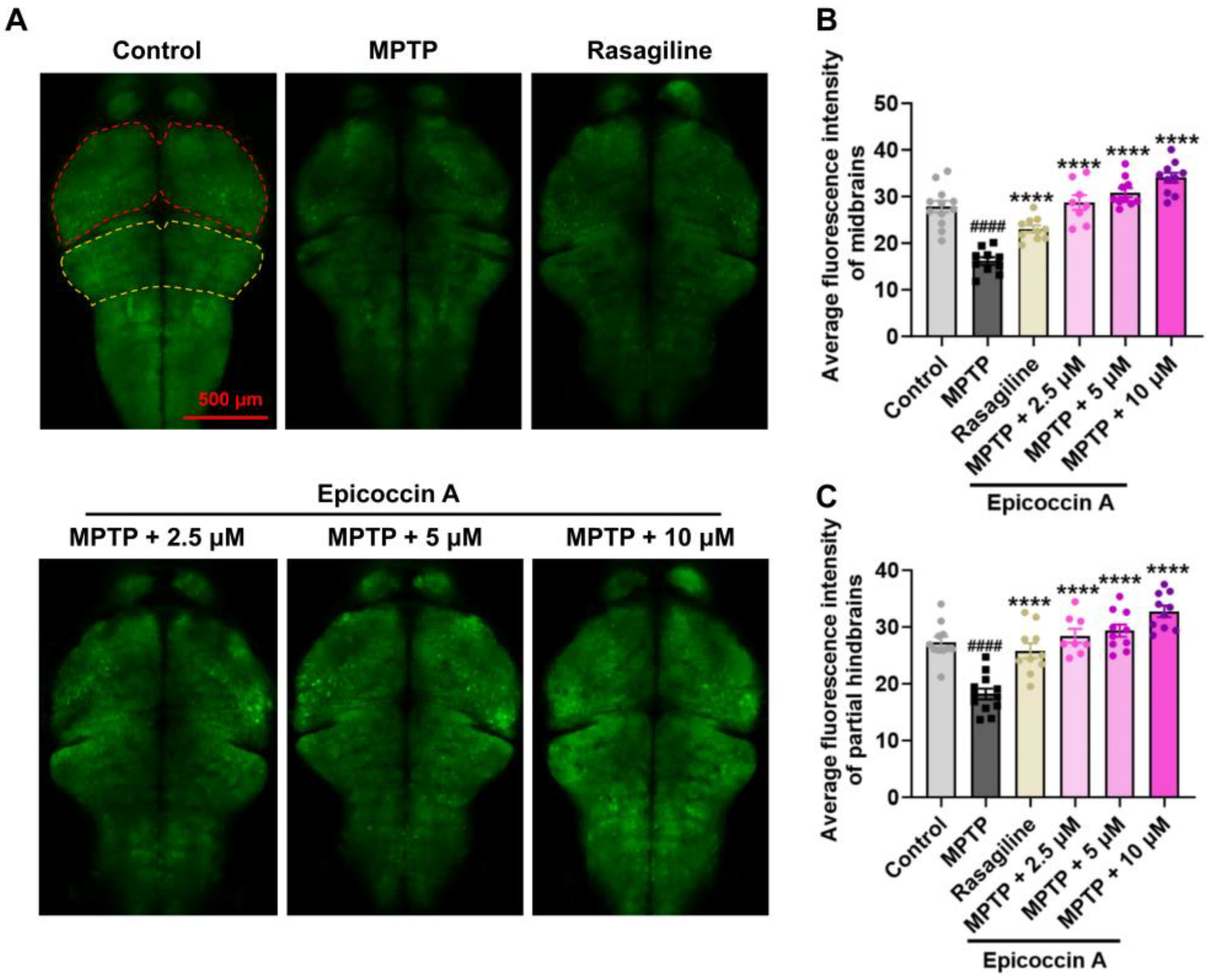 Preprints 152295 g002