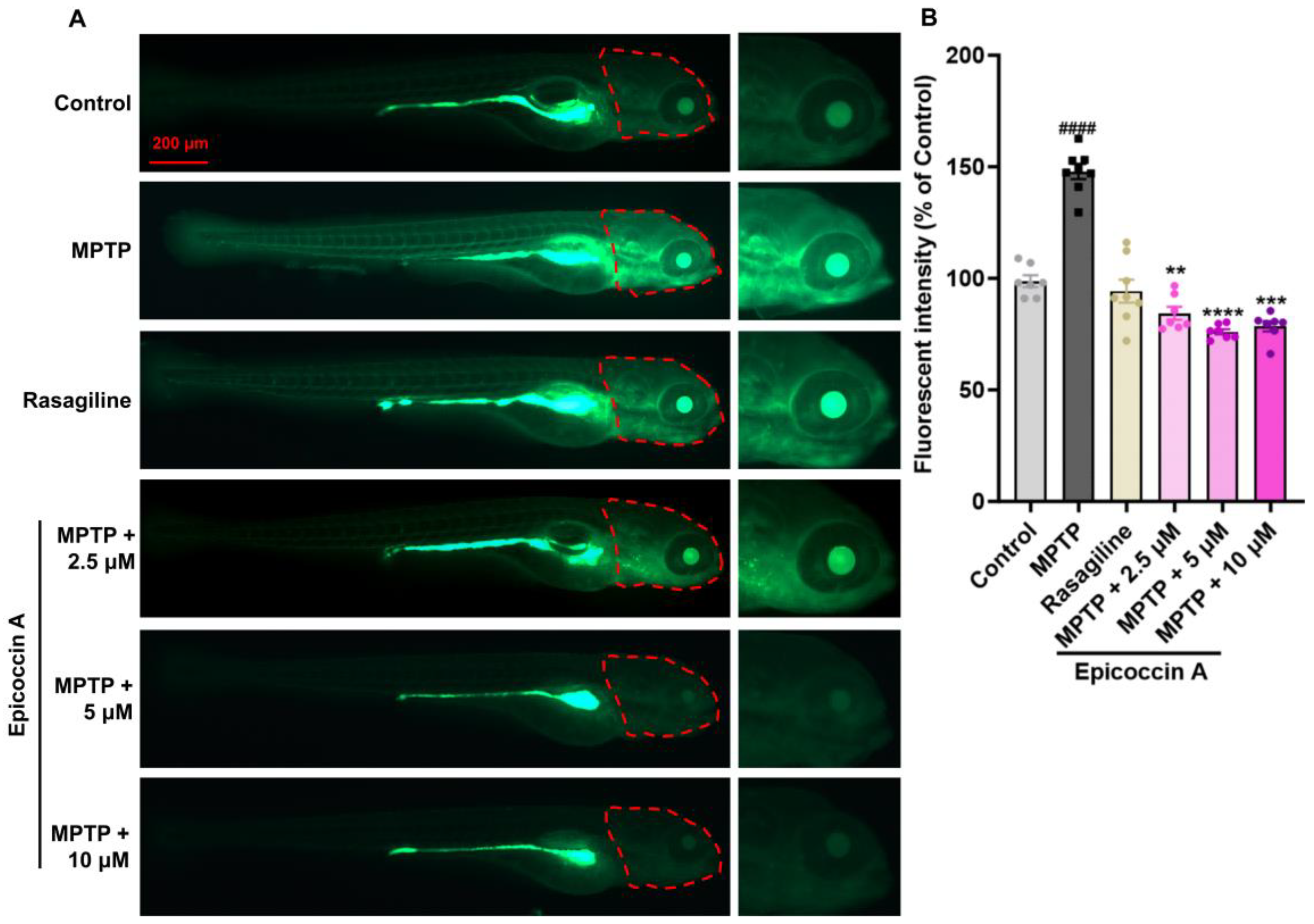 Preprints 152295 g004