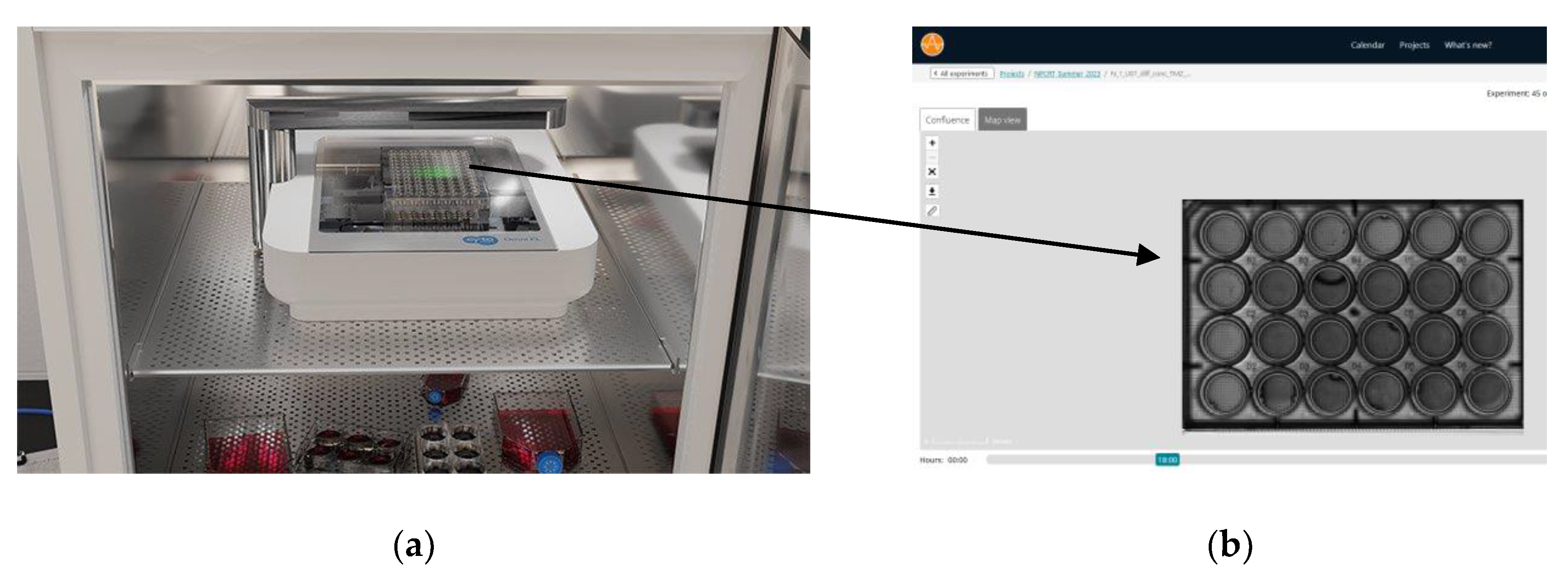 Preprints 144797 g001