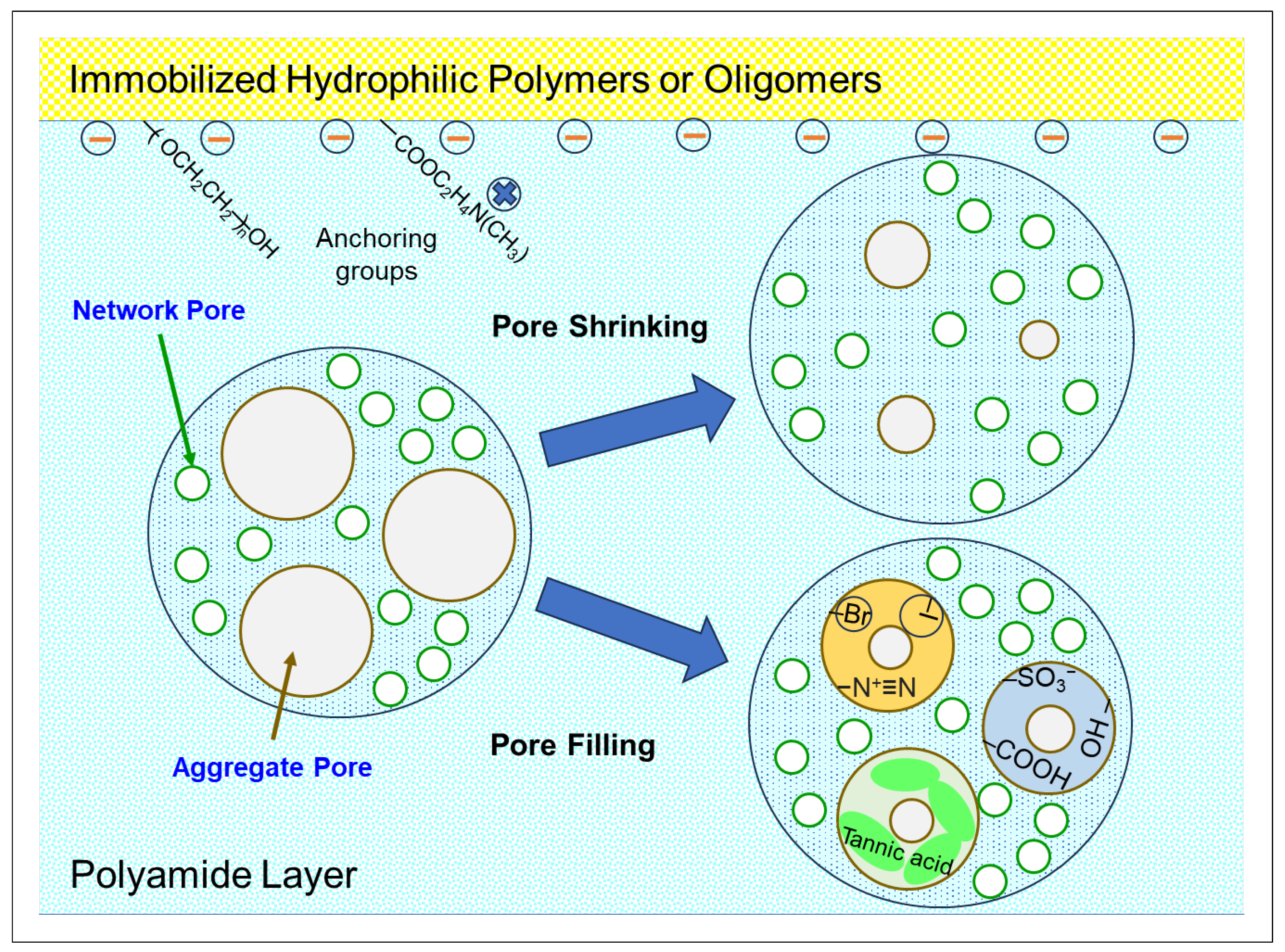 Preprints 148778 g005