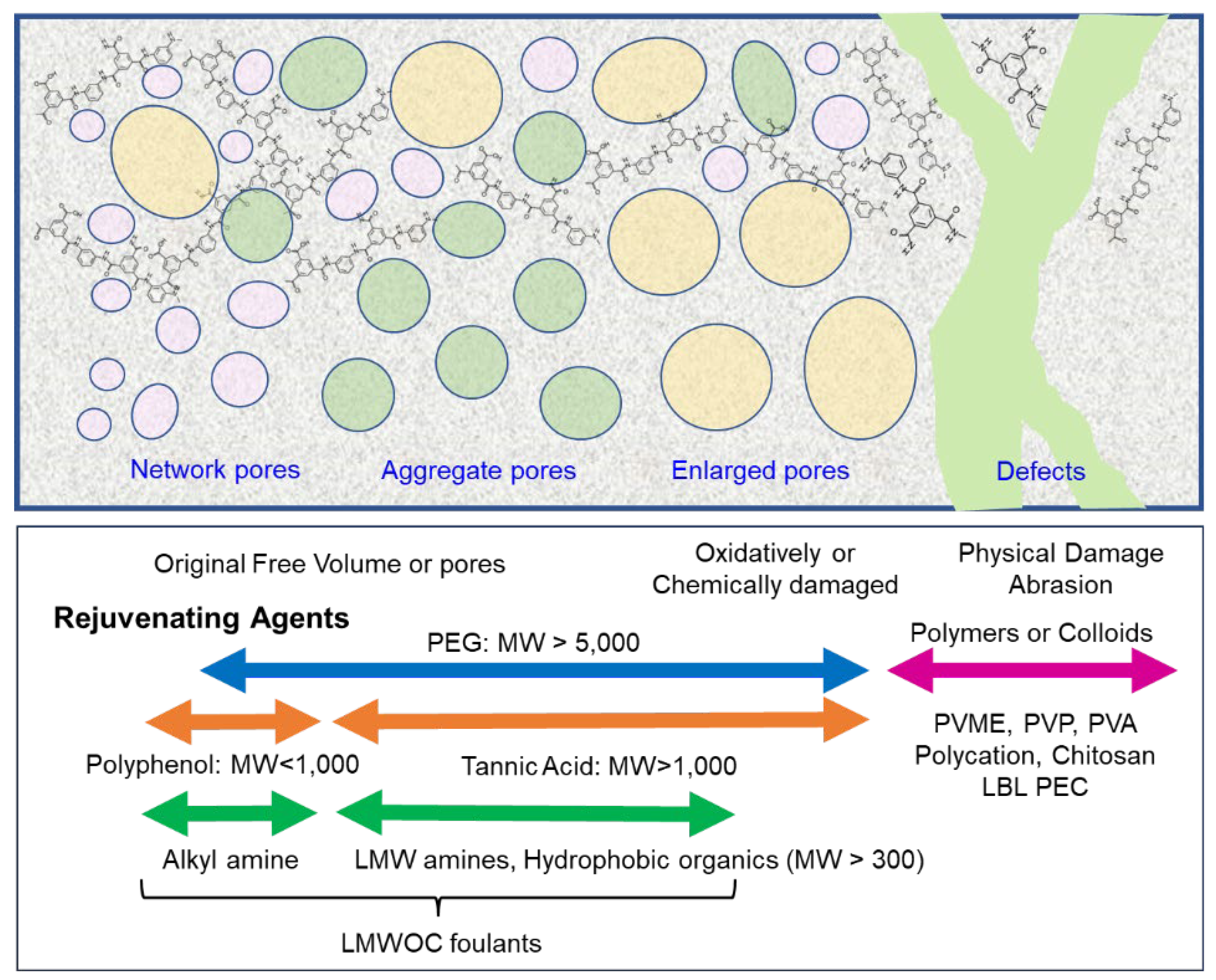 Preprints 148778 g008