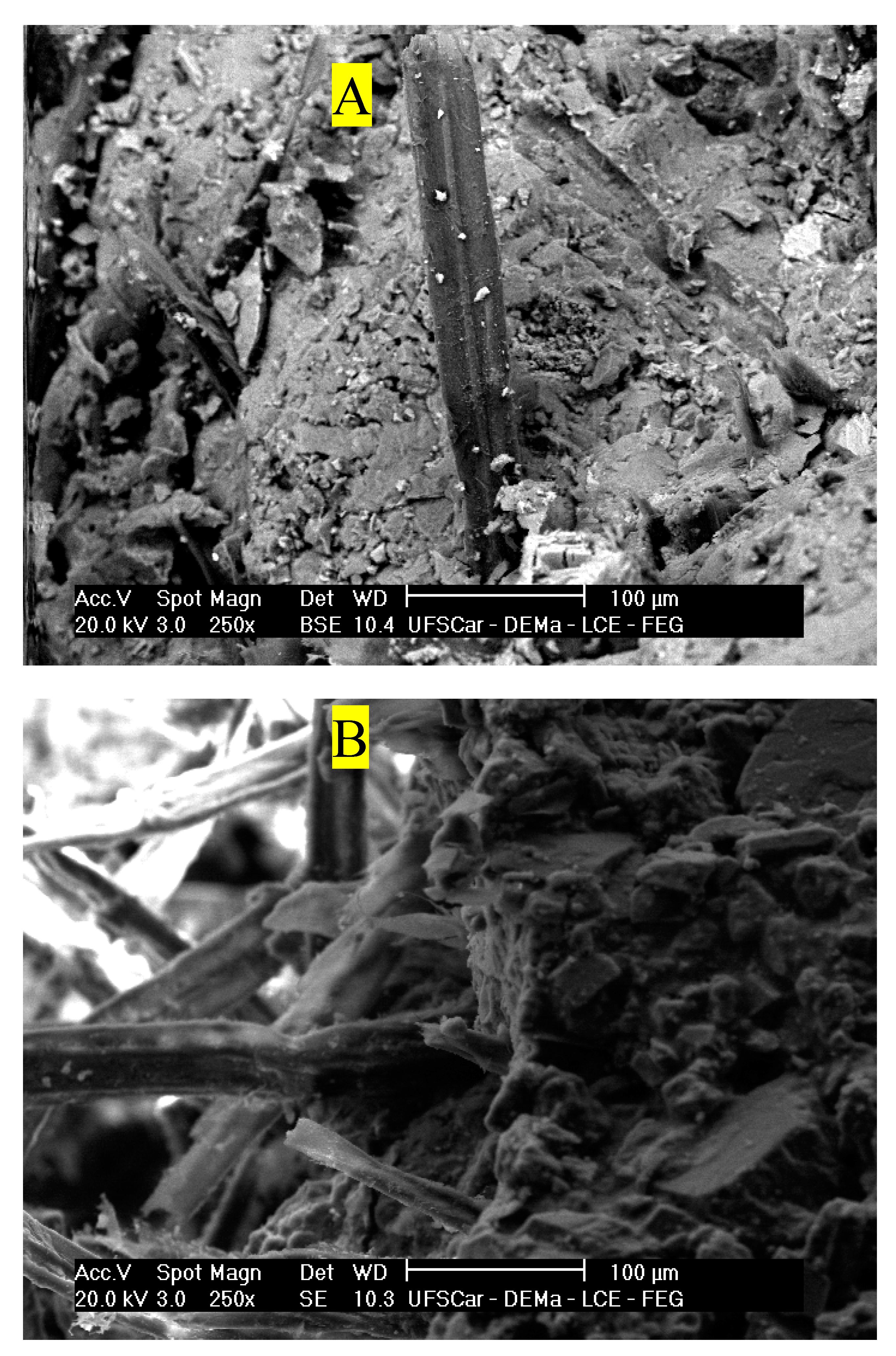 Preprints 89294 g012a