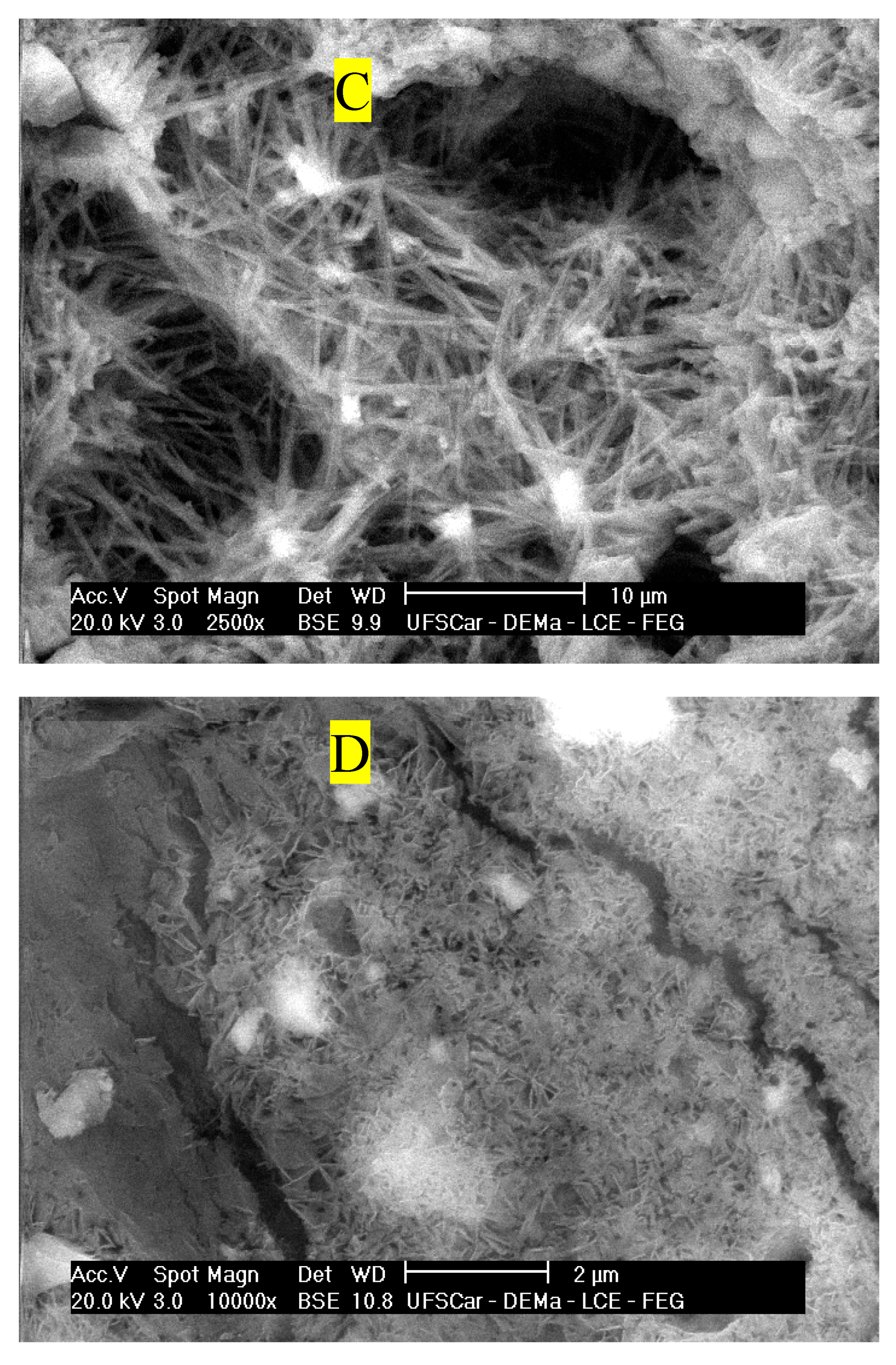 Preprints 89294 g012b