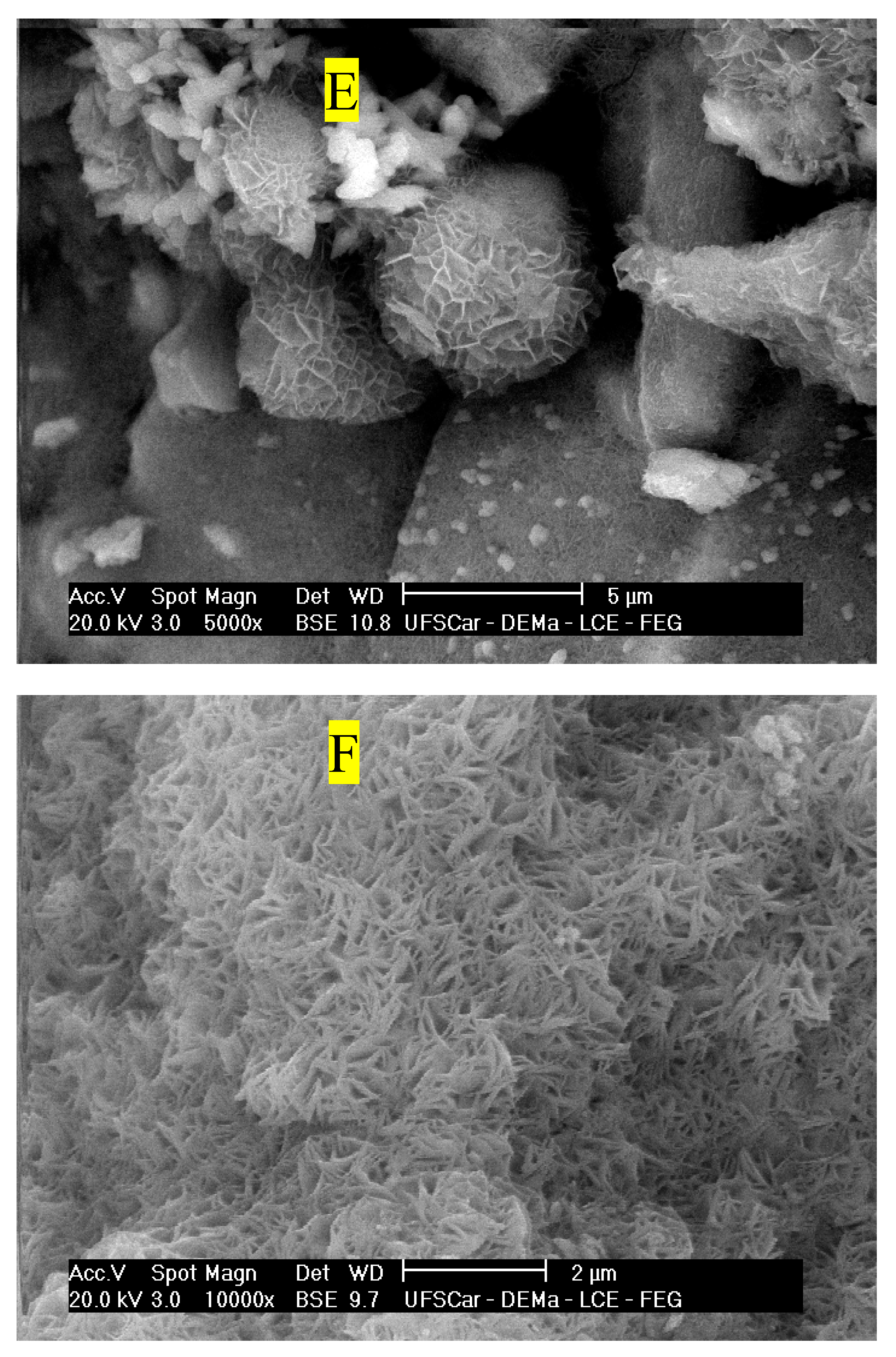 Preprints 89294 g012c