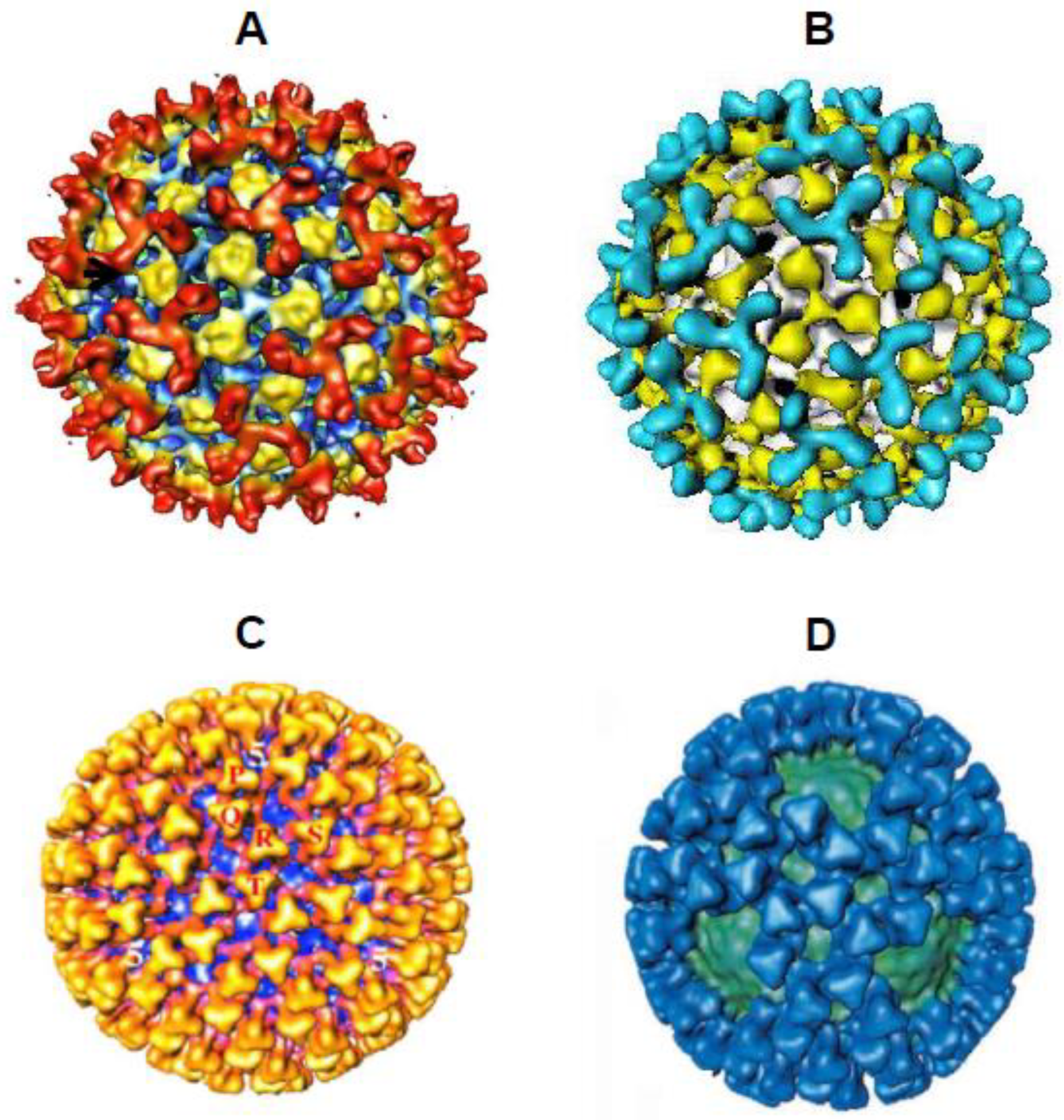 Preprints 98699 g004
