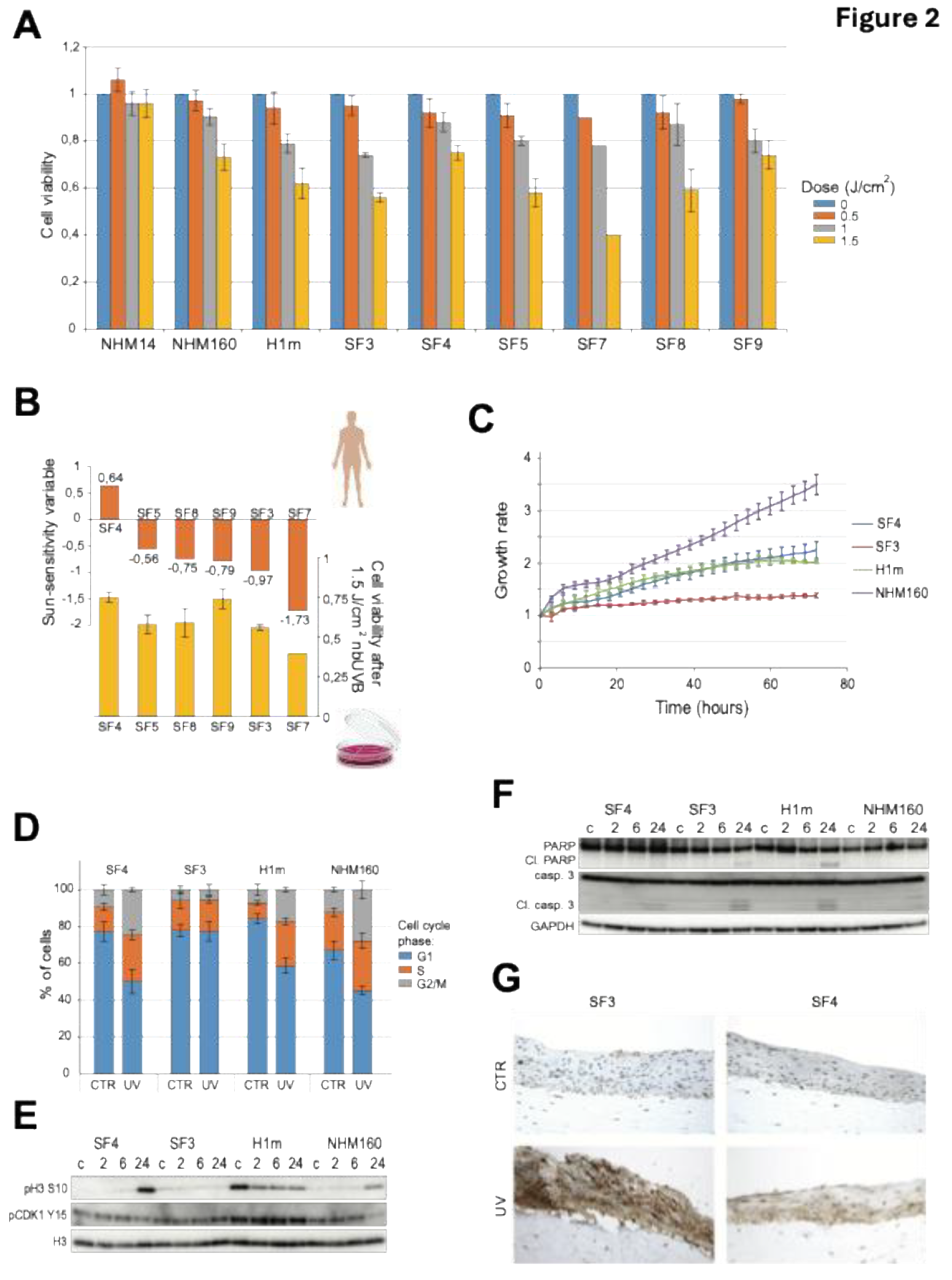 Preprints 195654 g002