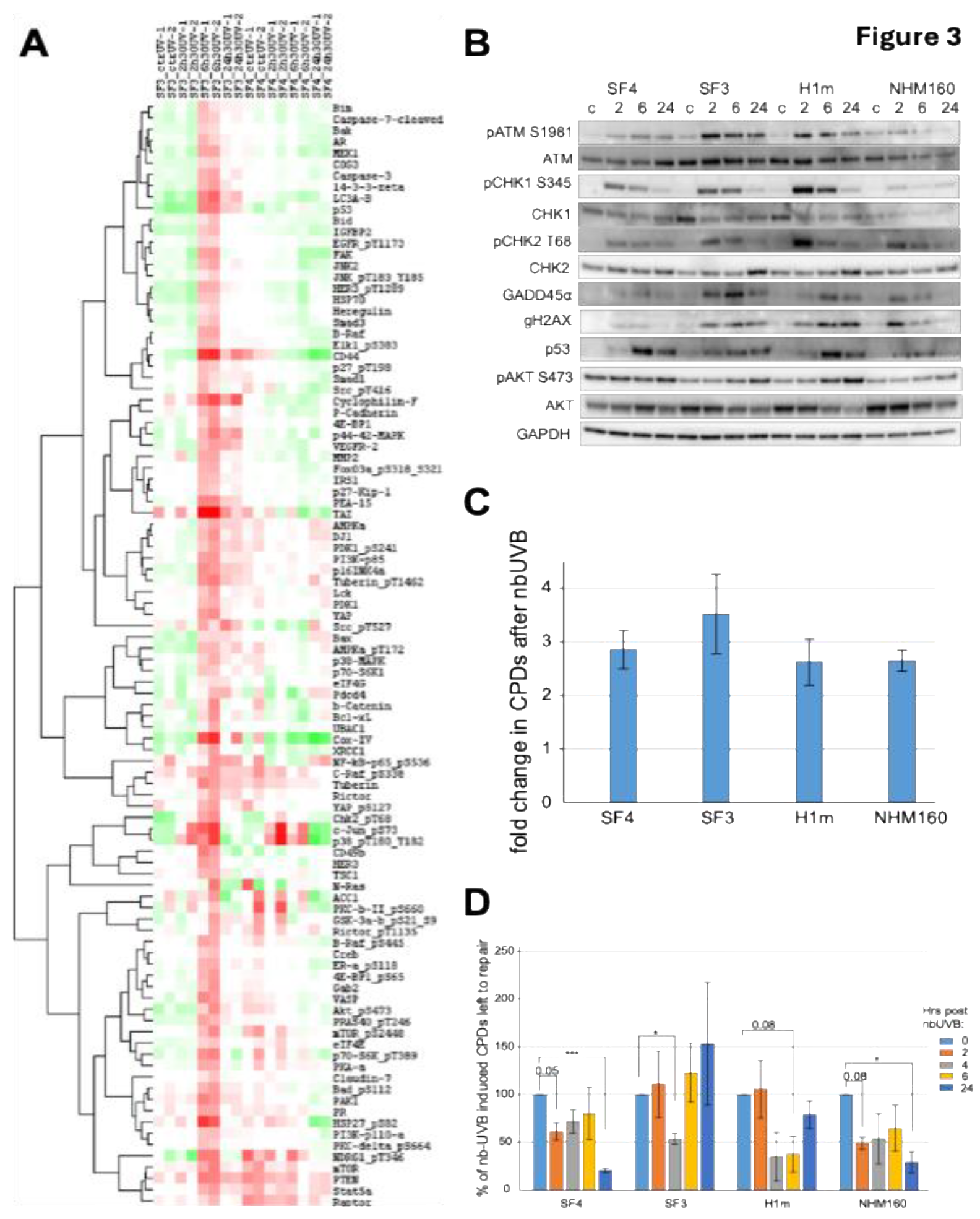 Preprints 195654 g003