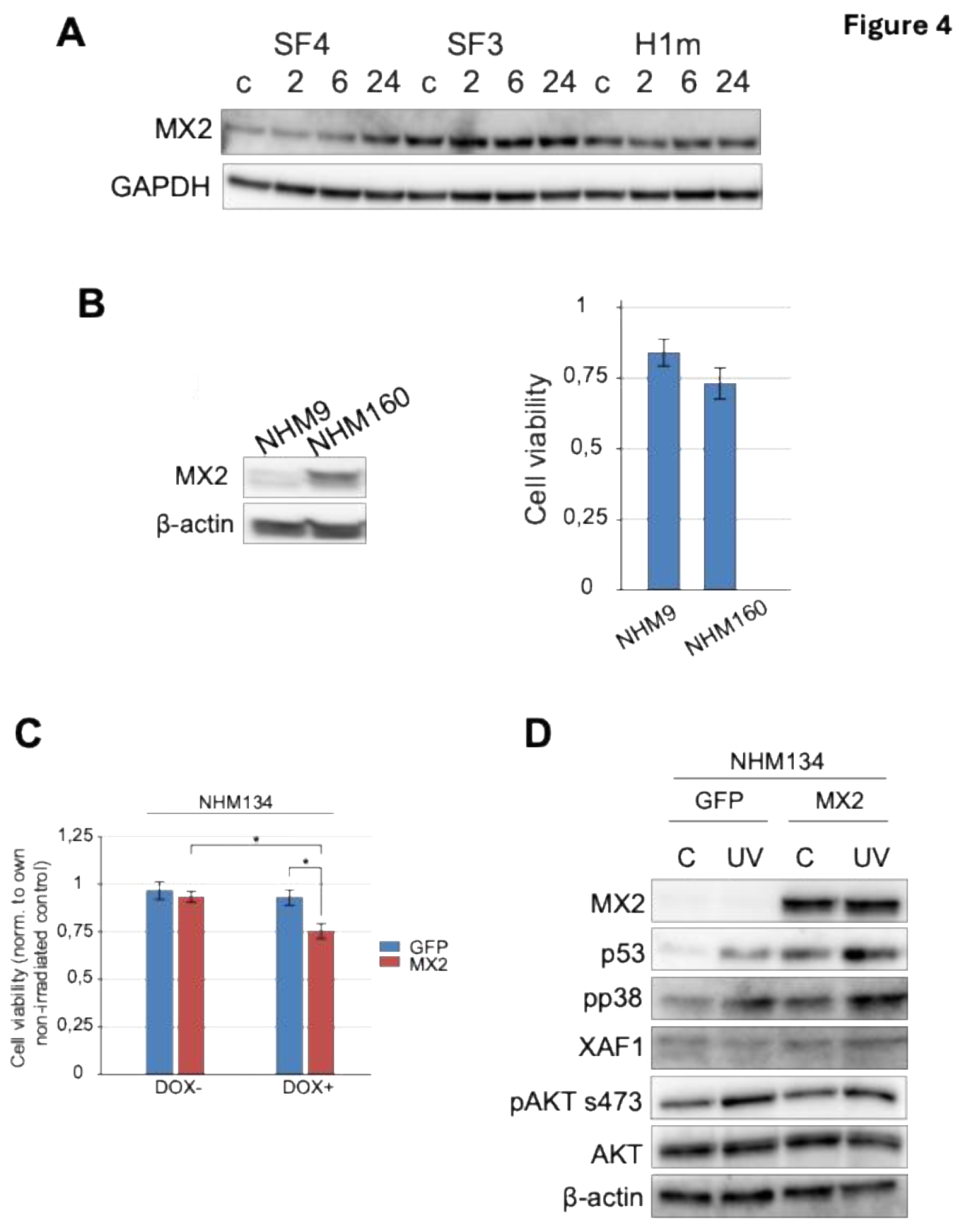 Preprints 195654 g004
