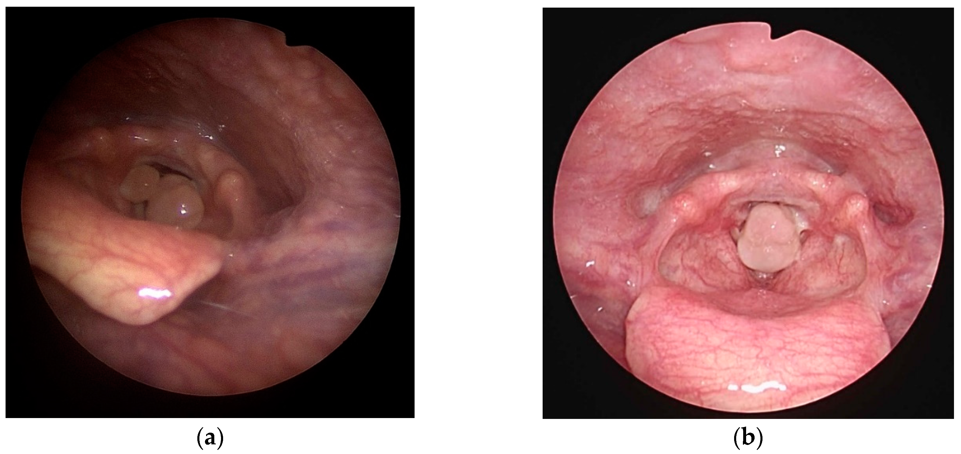 Preprints 79950 g001