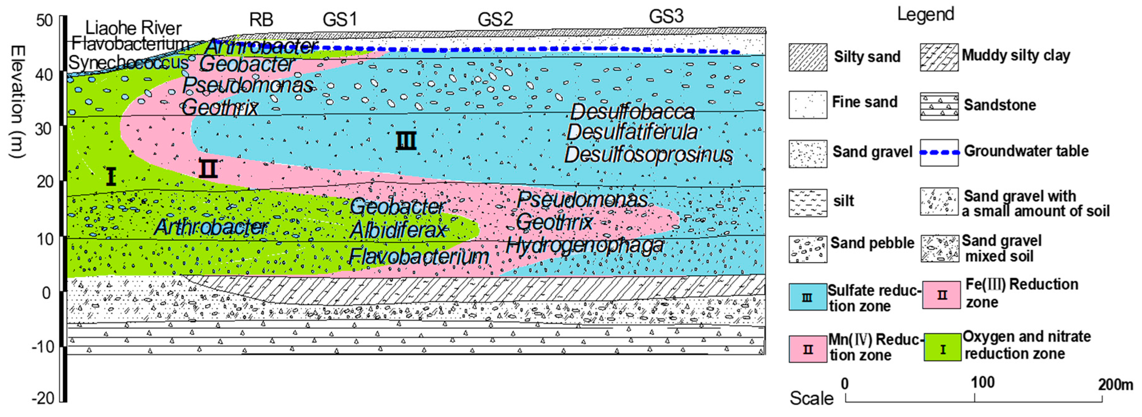 Preprints 153719 g005