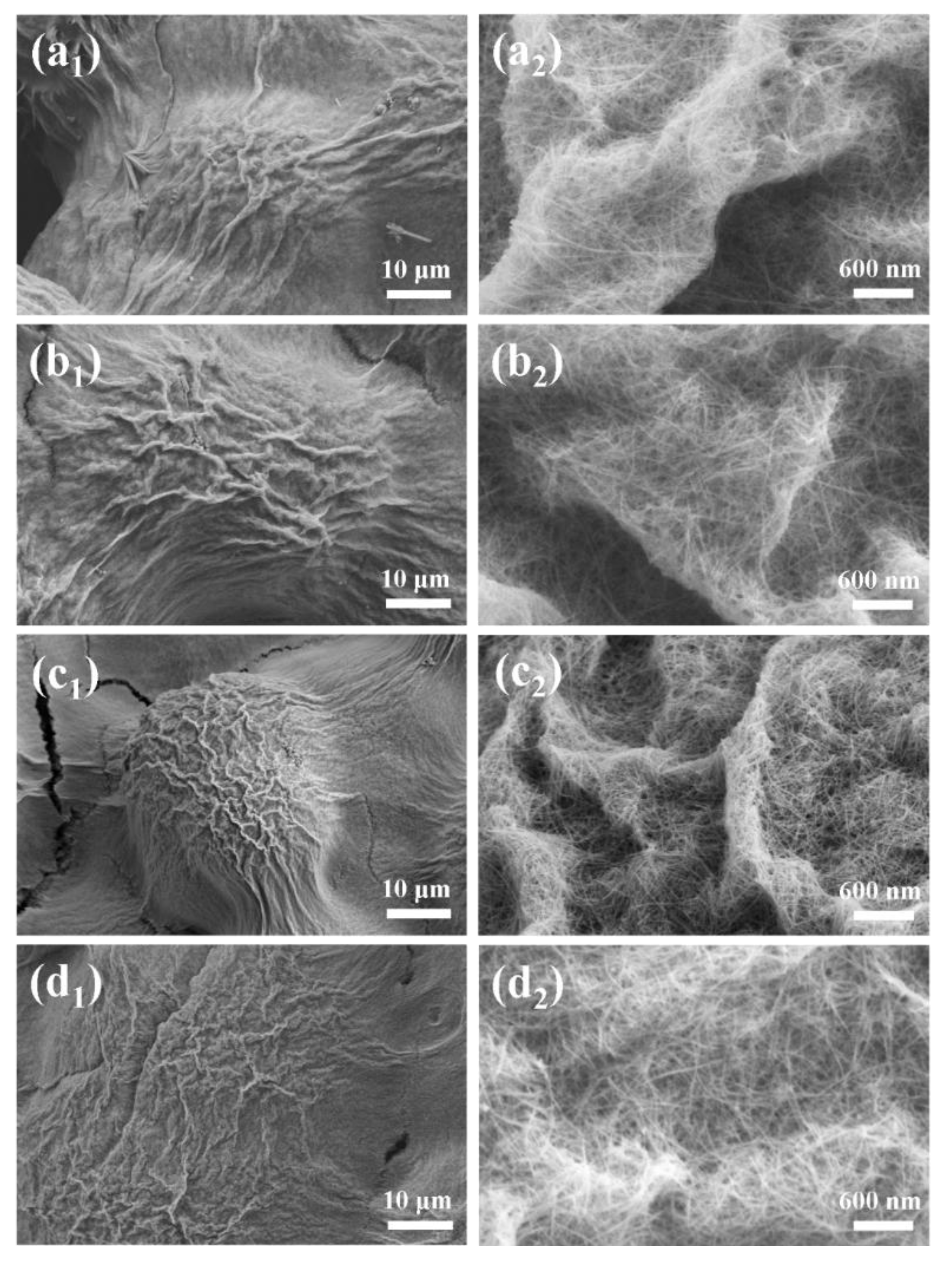 Preprints 209342 g002