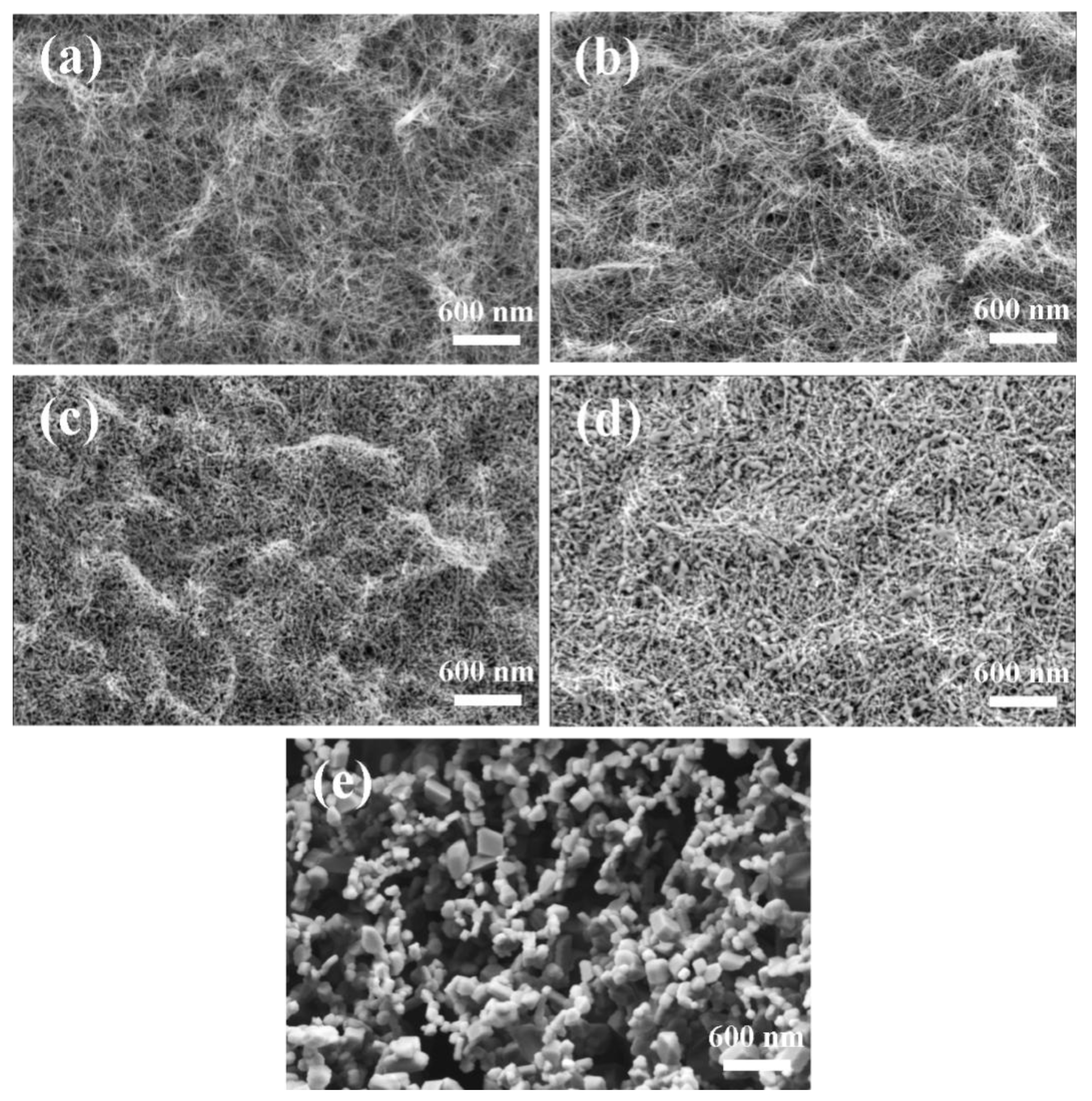 Preprints 209342 g008