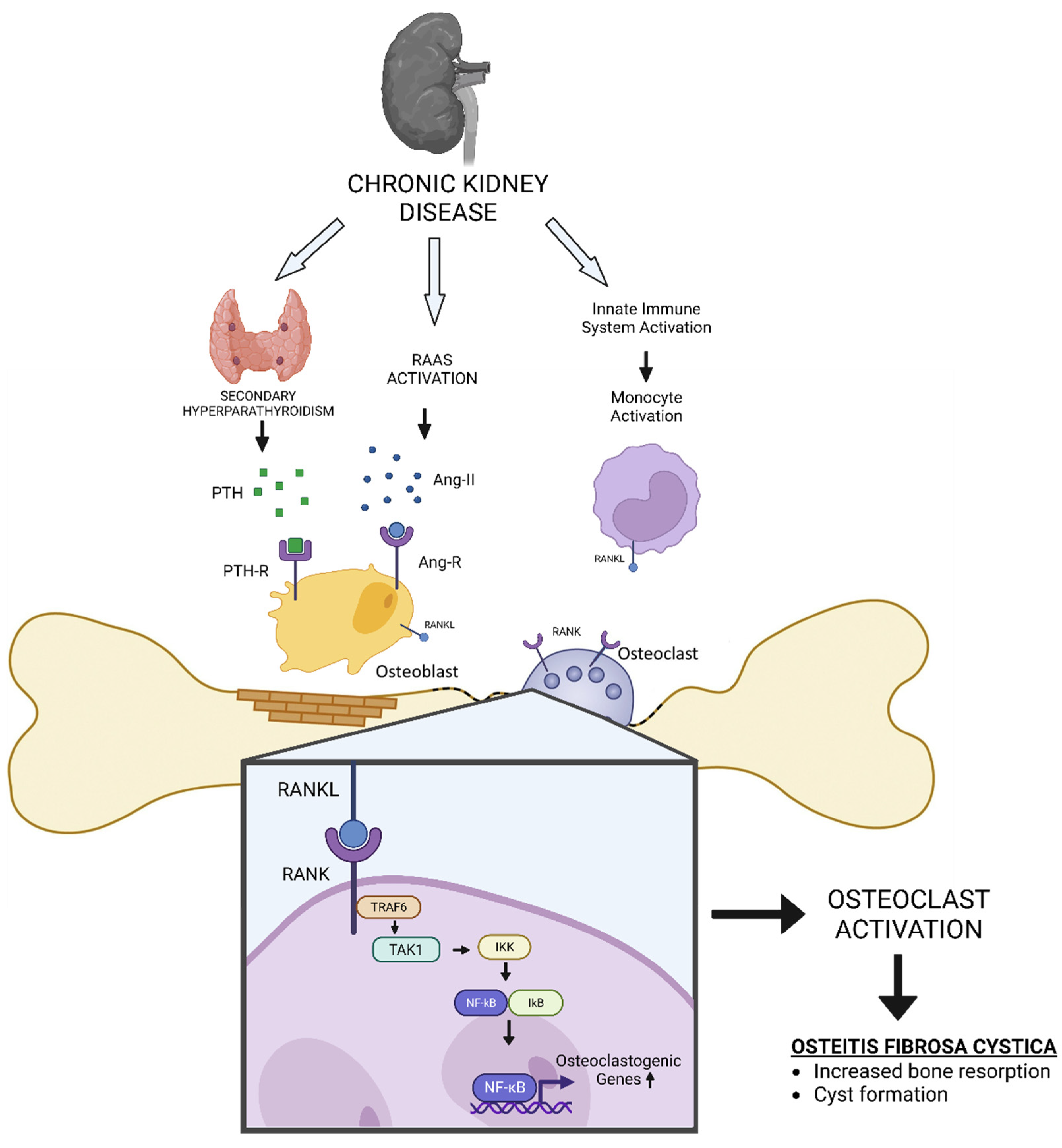 Preprints 79670 g001