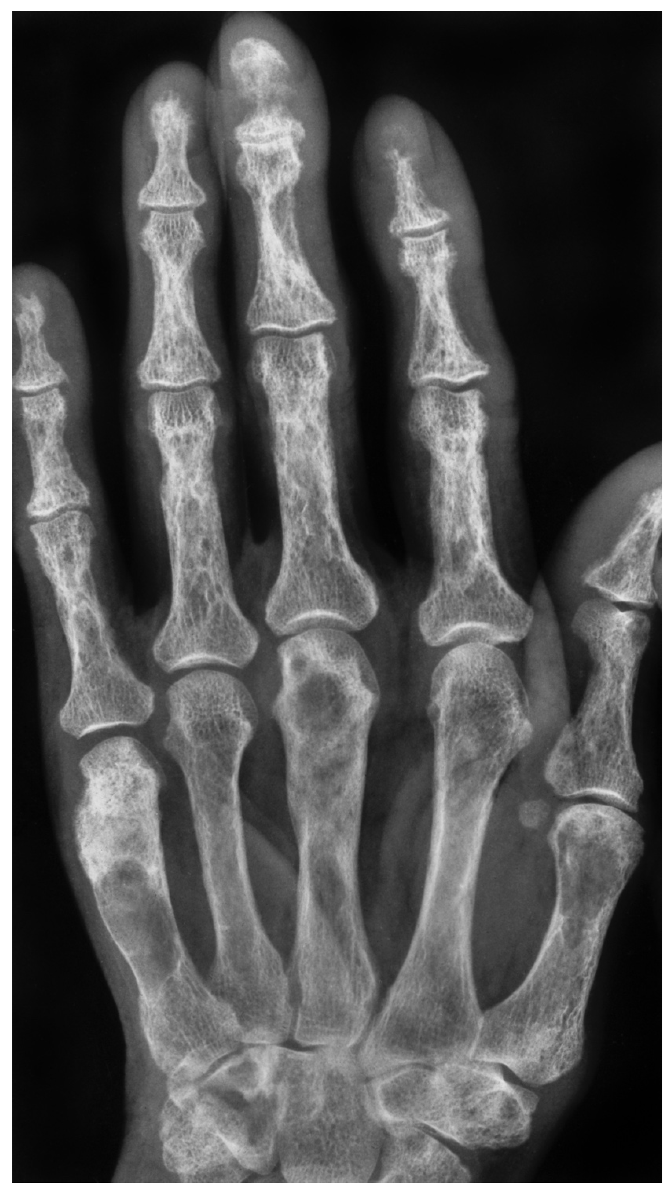 Preprints 79670 g002a