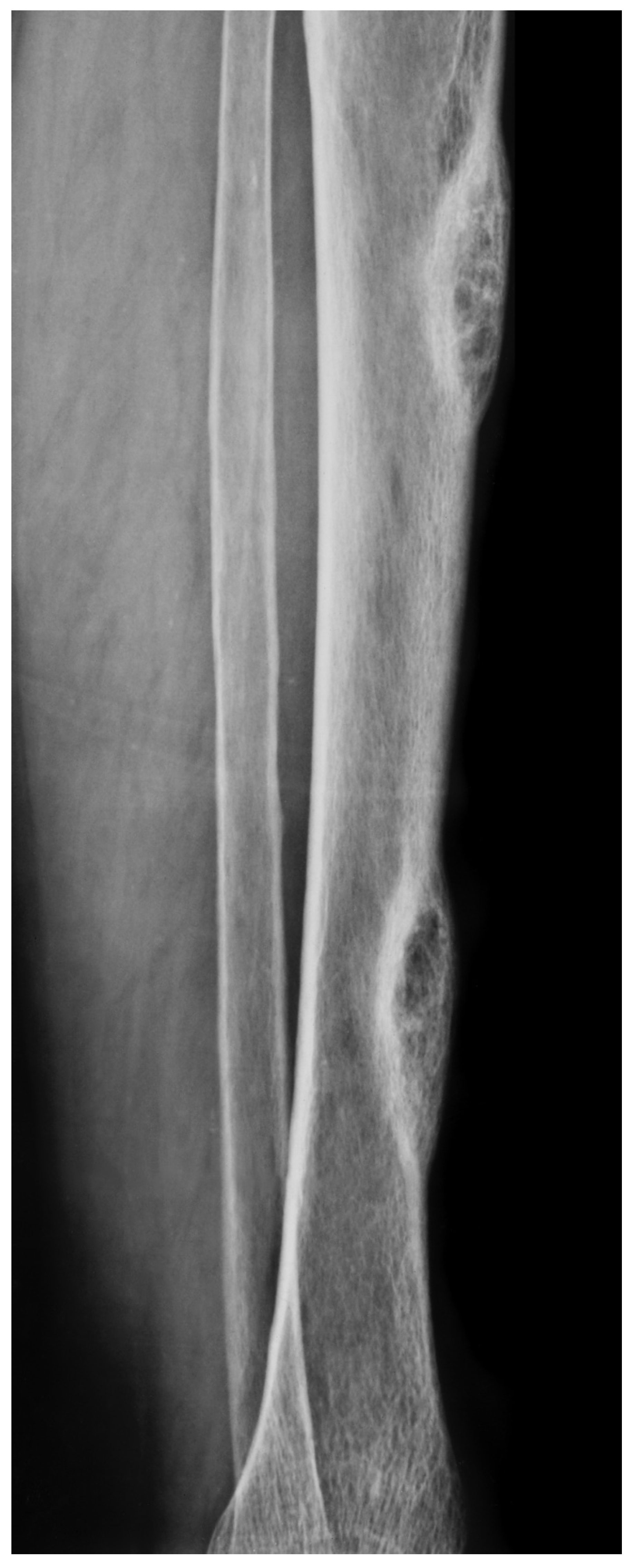 Preprints 79670 g002b