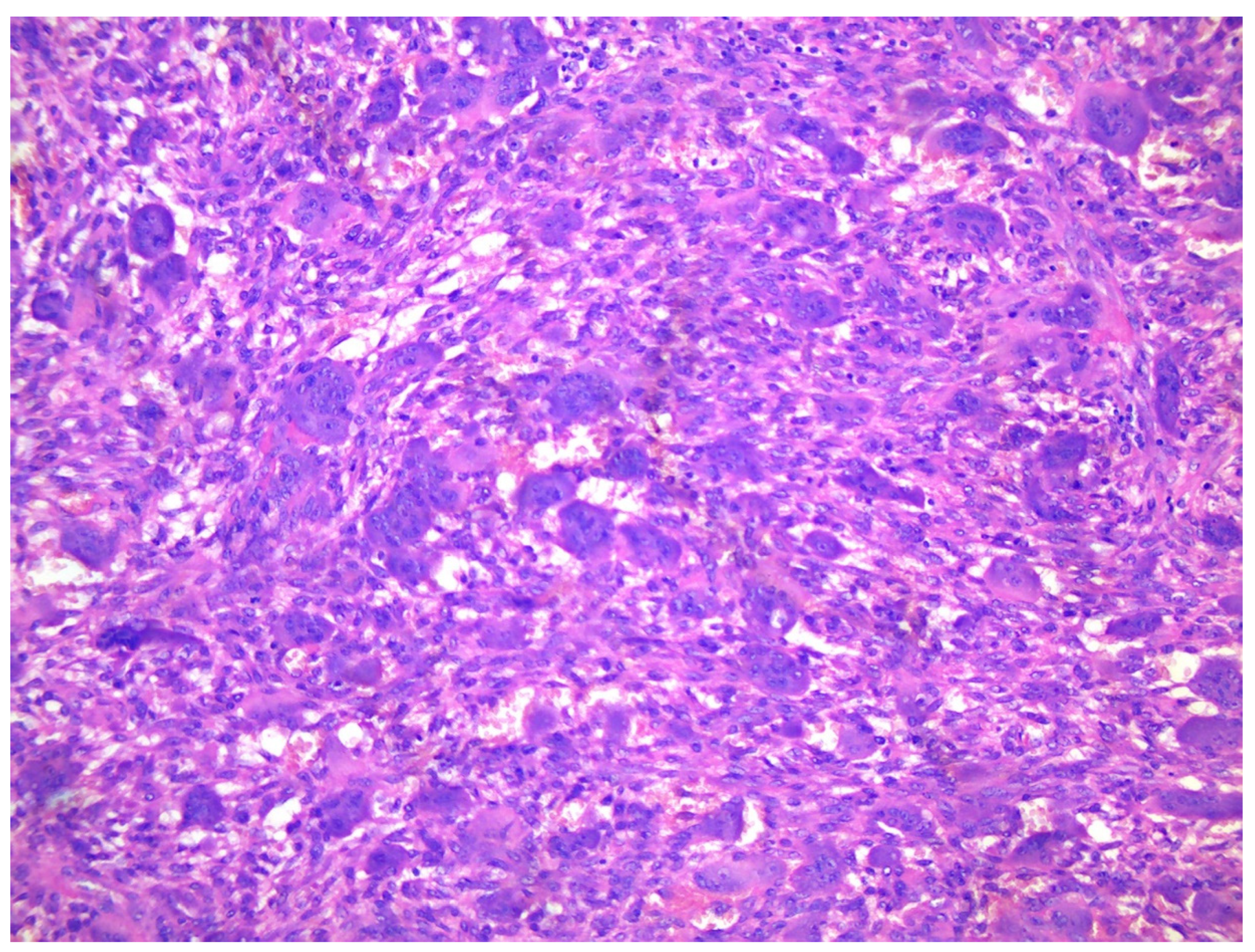 Preprints 79670 g003