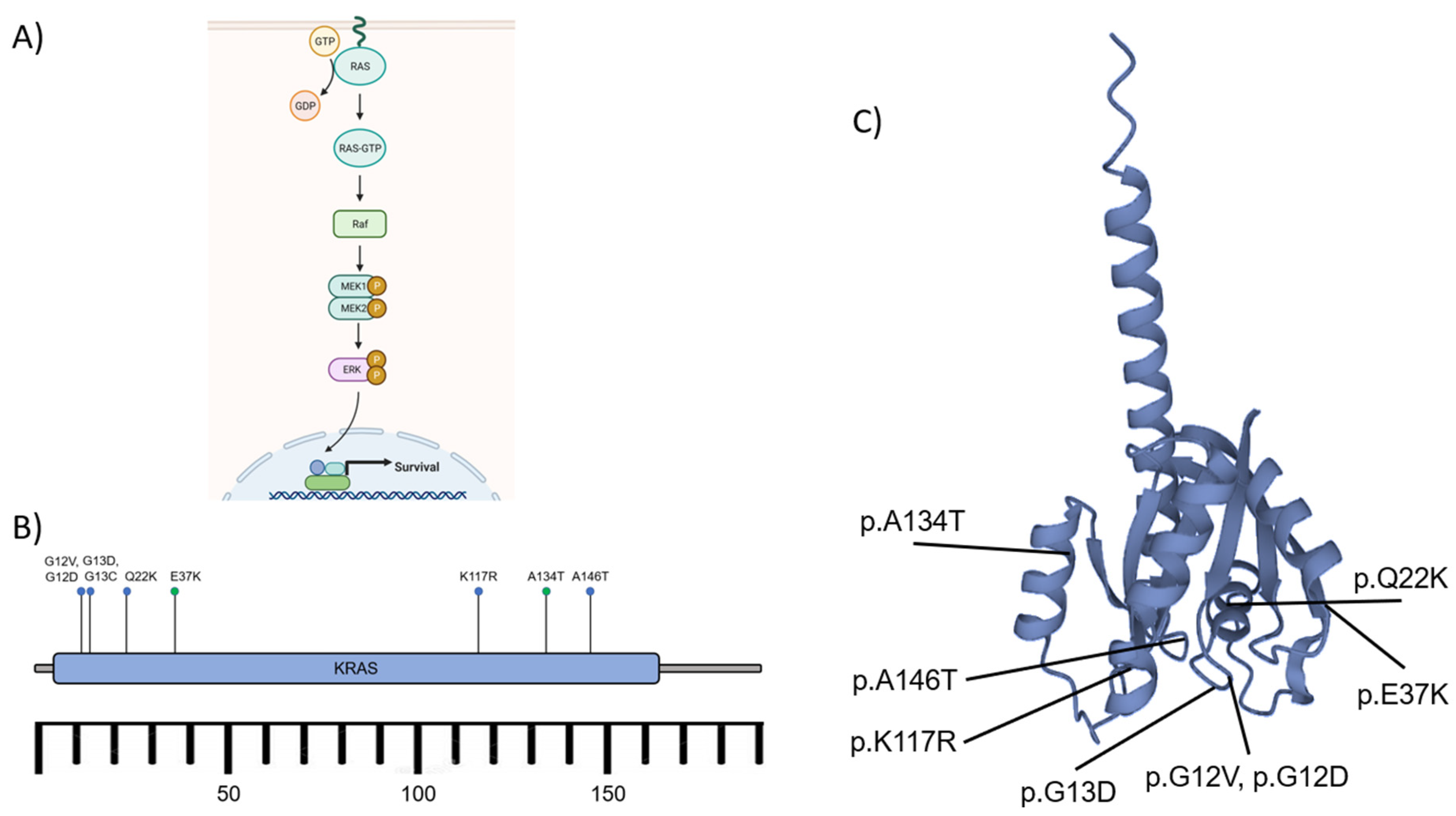 Preprints 79670 g004