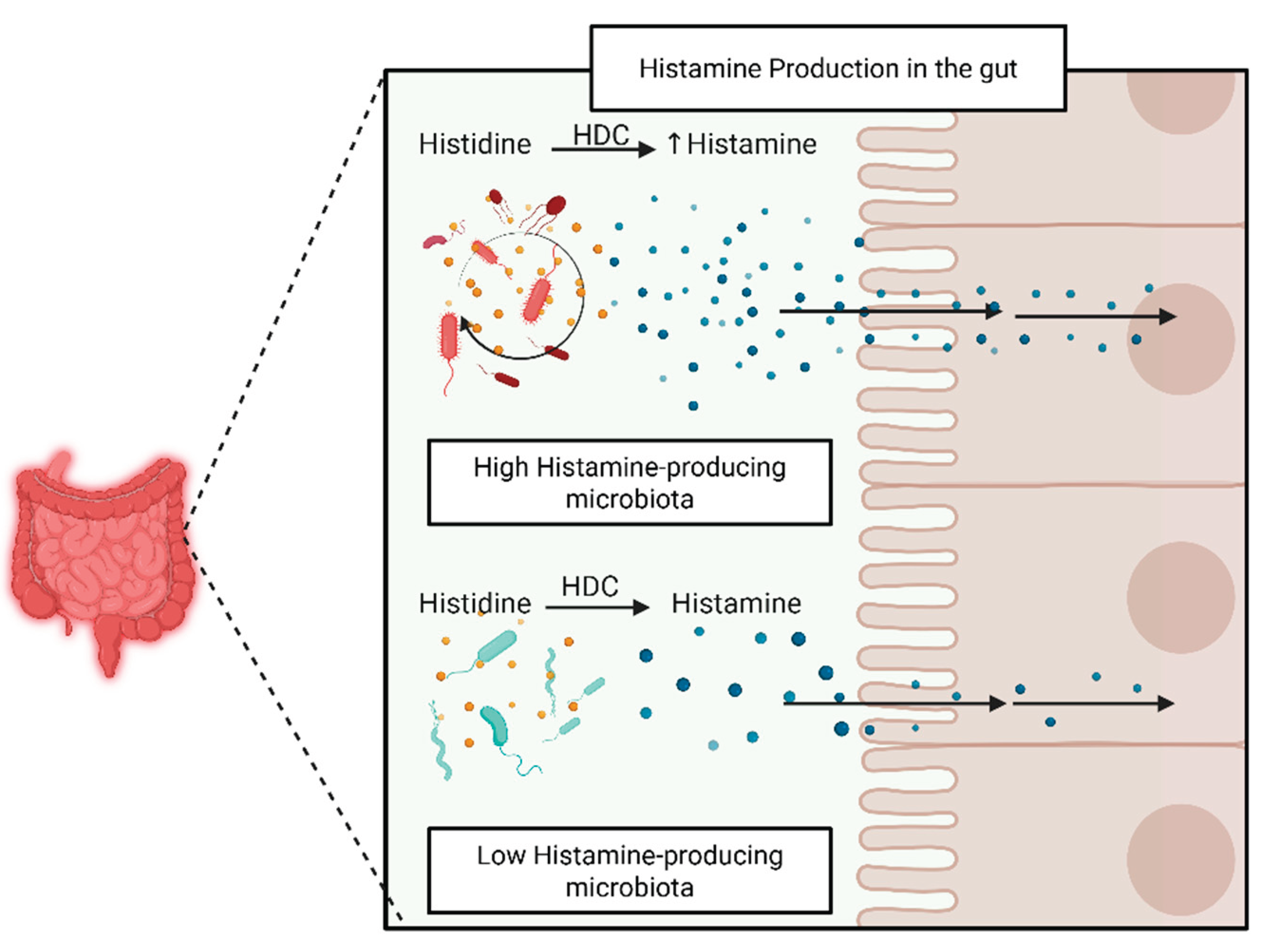 Preprints 165856 g003