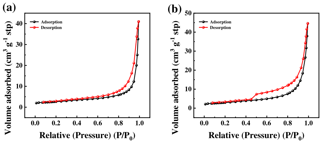 Preprints 224135 g0a3 Preprints 224135 g0a3