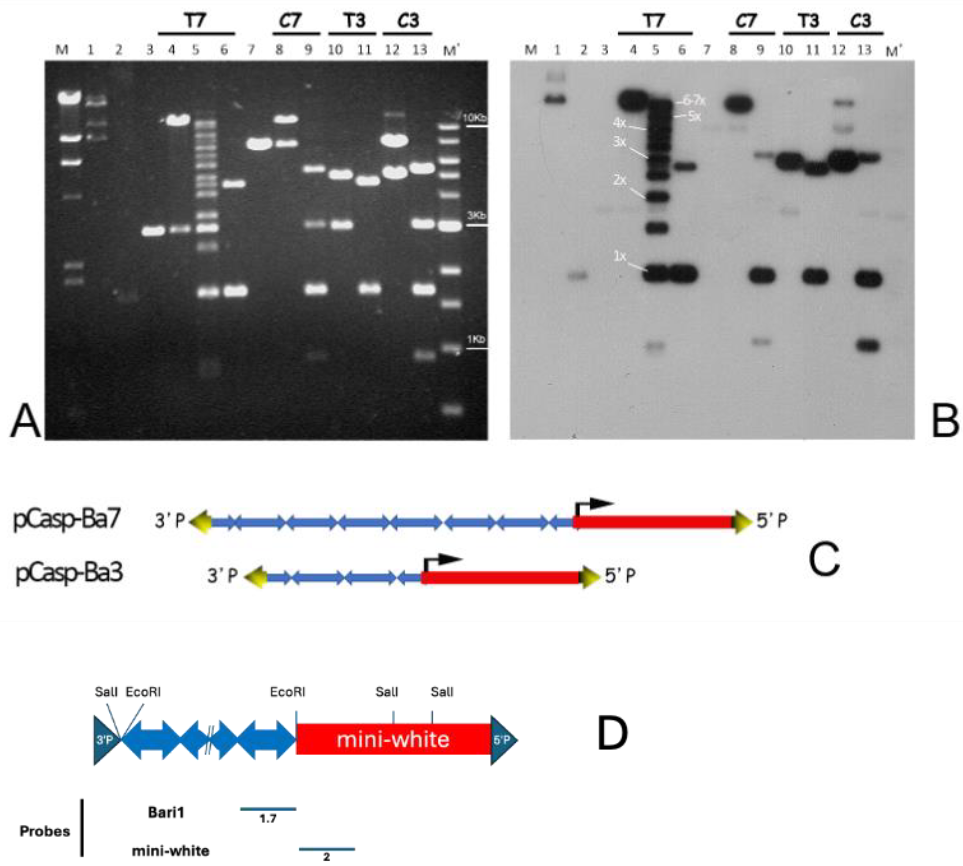 Preprints 190597 g001