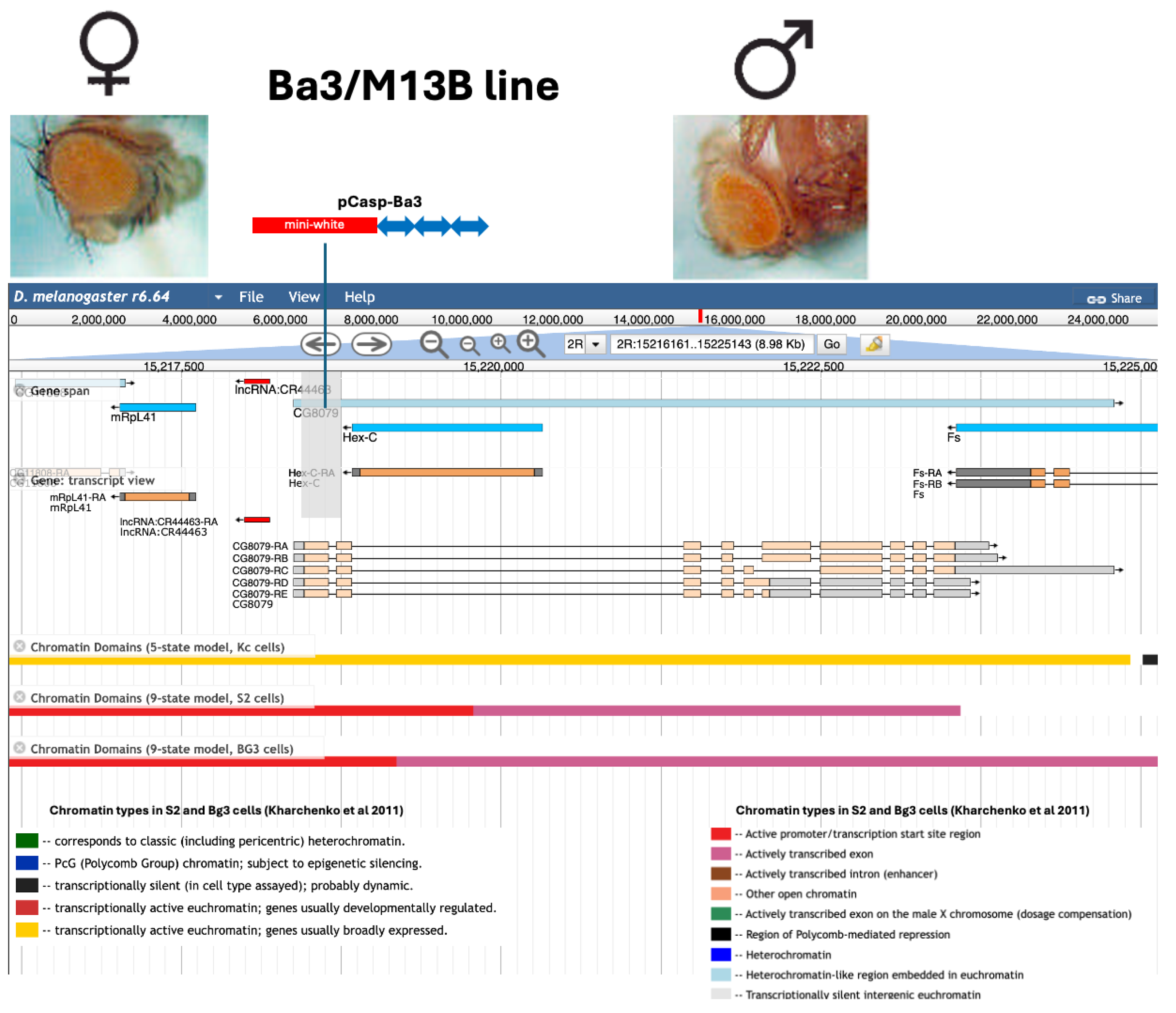 Preprints 190597 g002