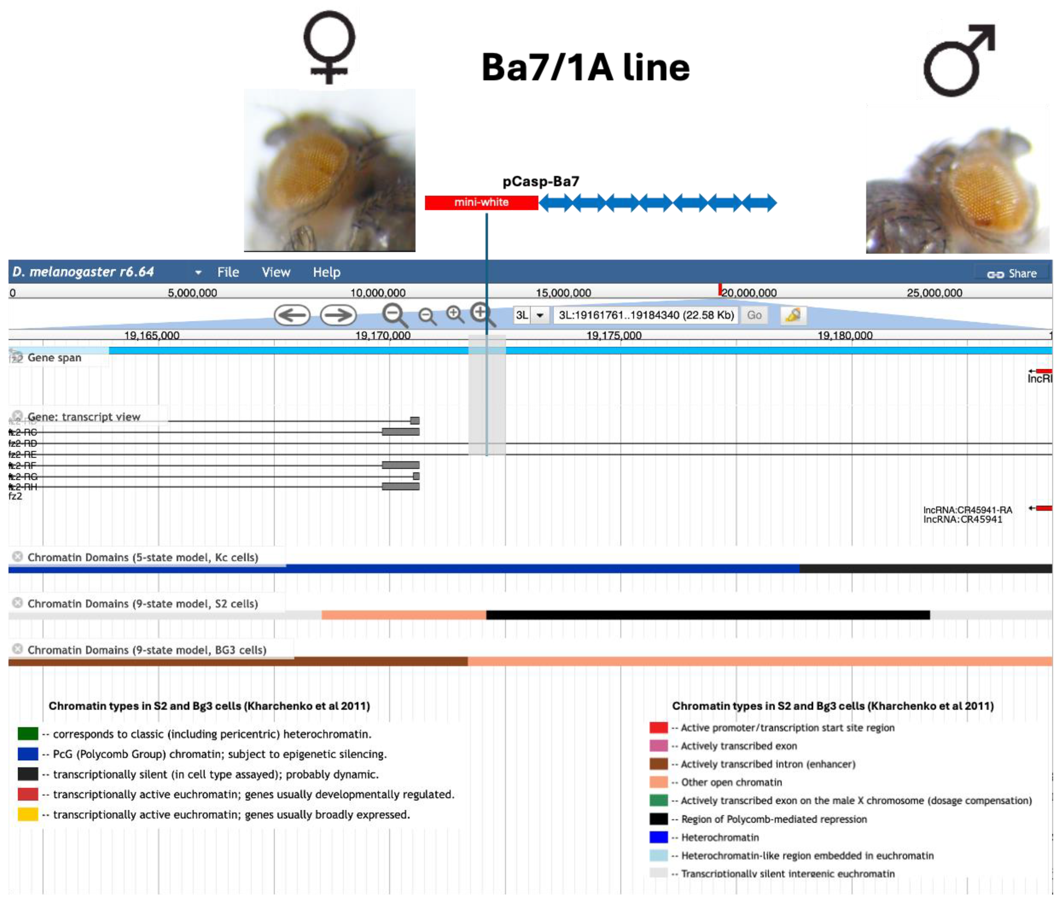 Preprints 190597 g003