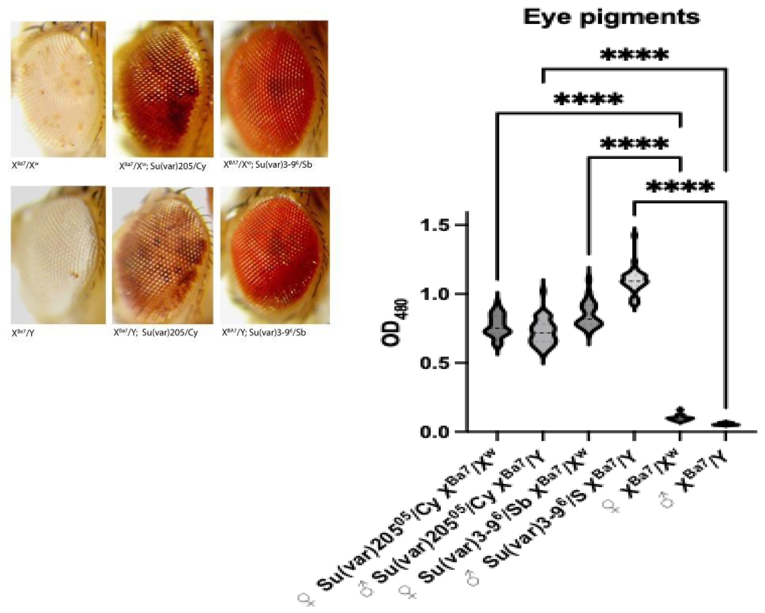 Preprints 190597 g004