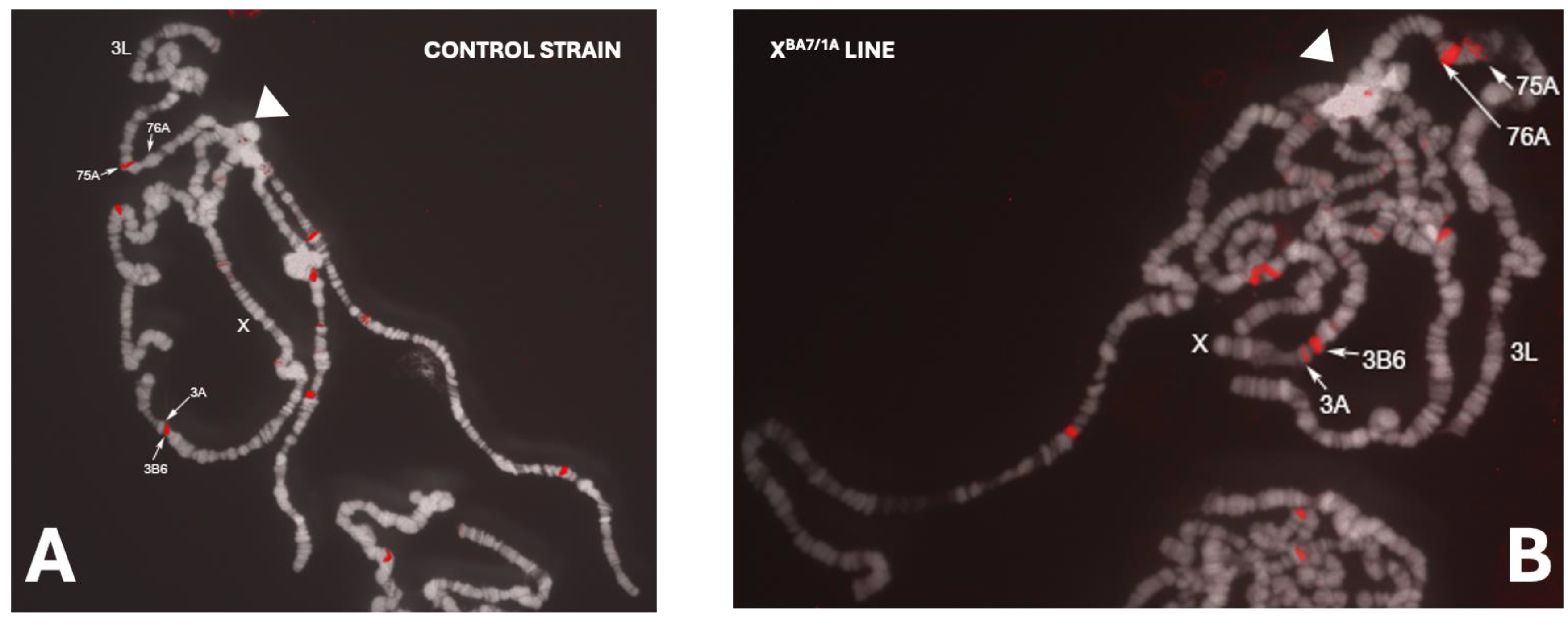 Preprints 190597 g005