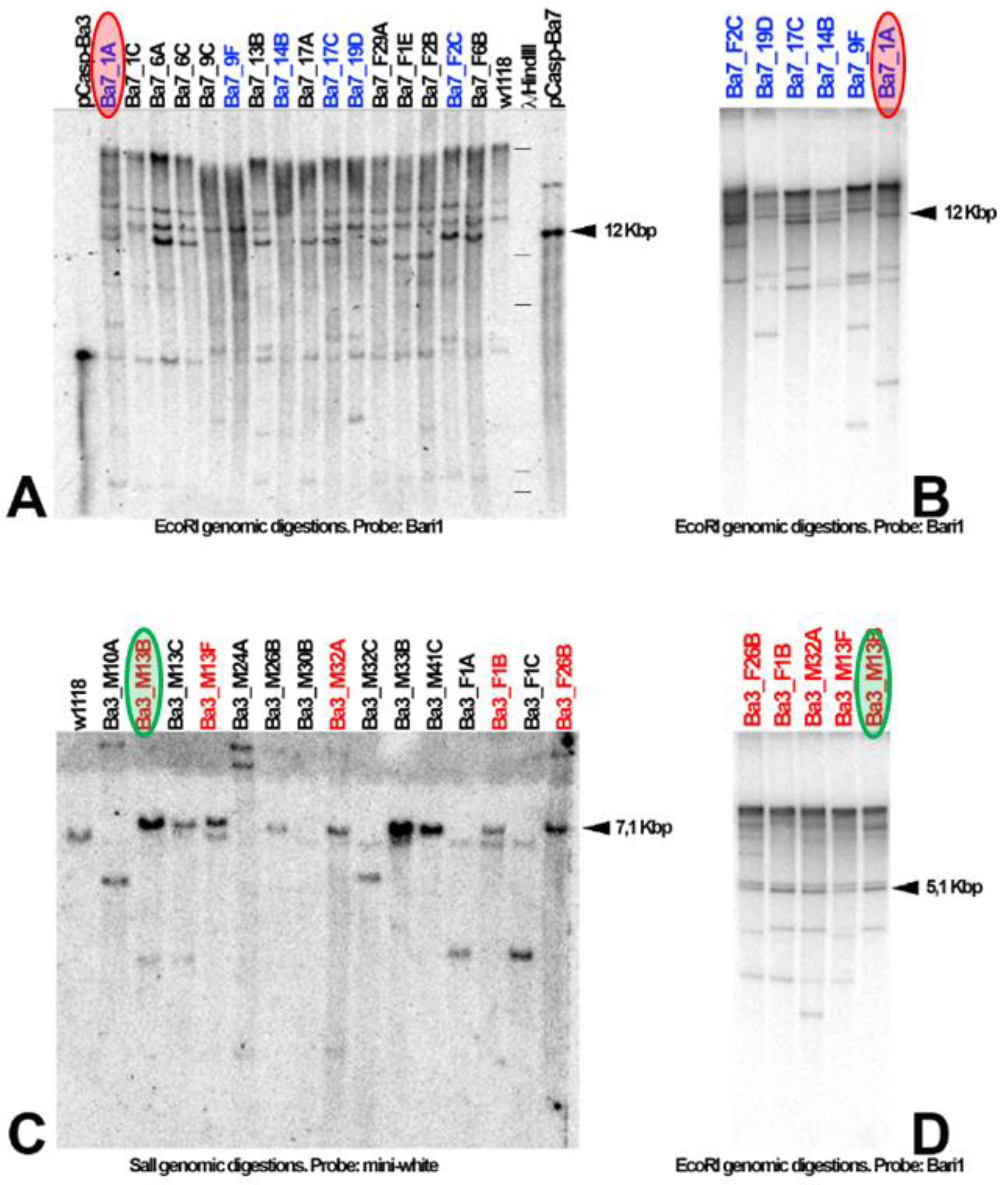 Preprints 190597 g006