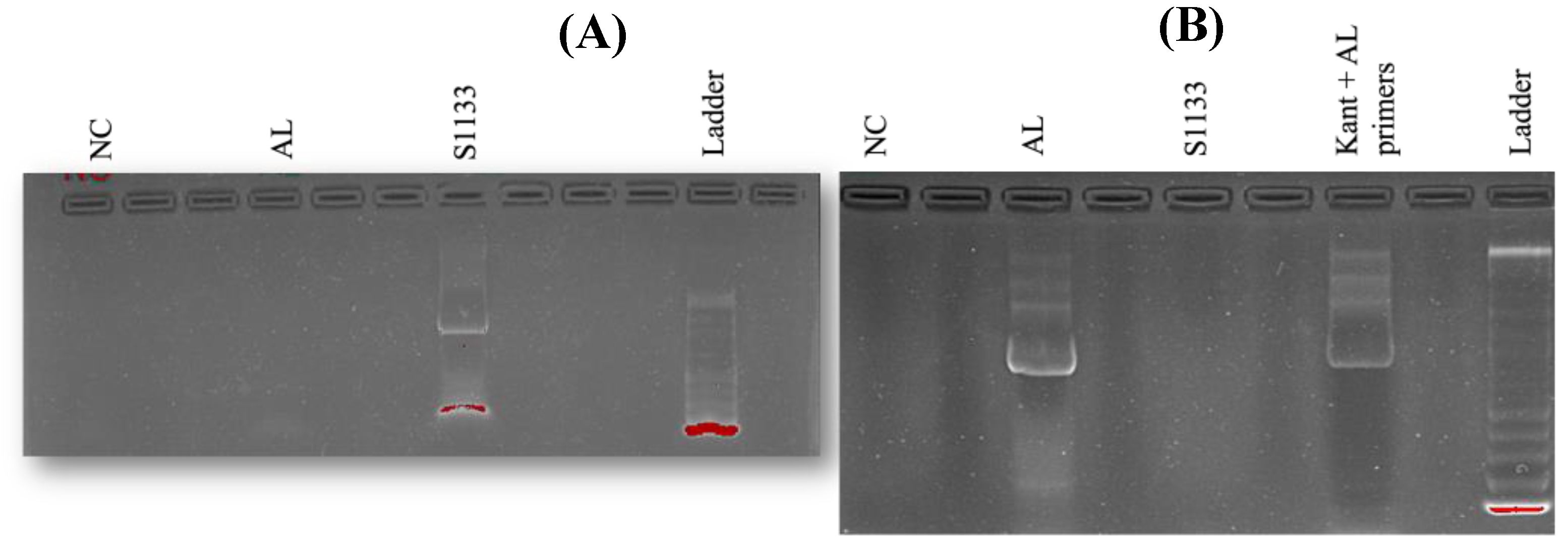 Preprints 148428 g002