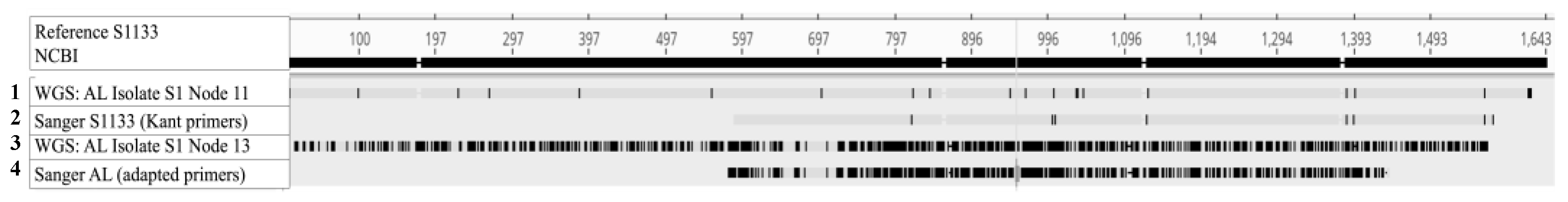 Preprints 148428 g003