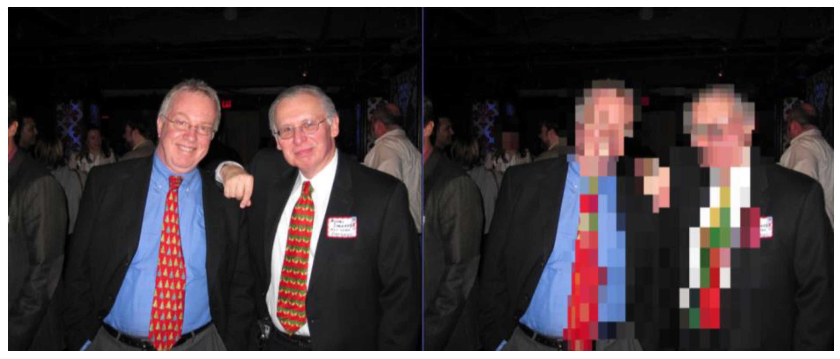 Preprints 178891 g004