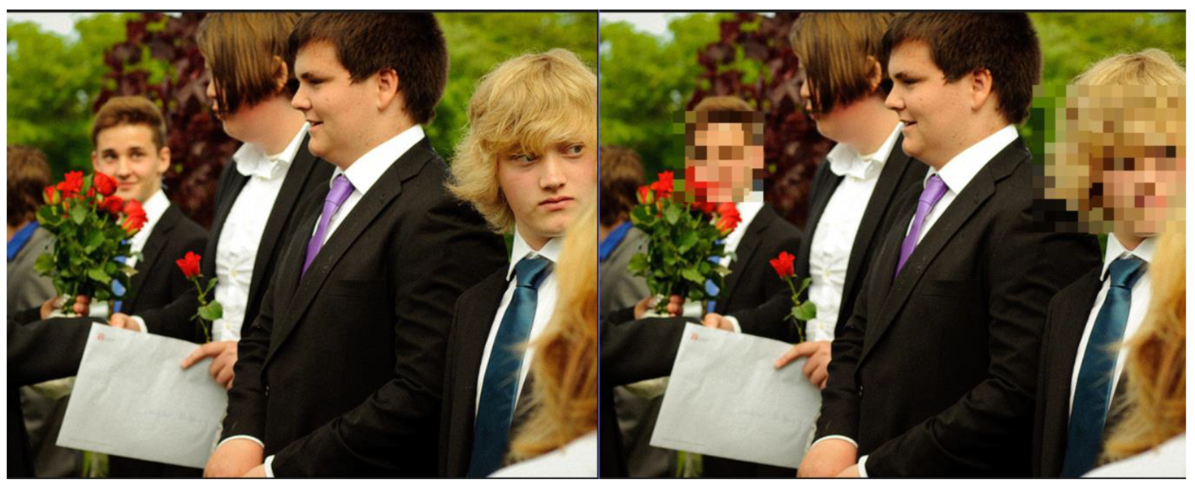 Preprints 178891 g005