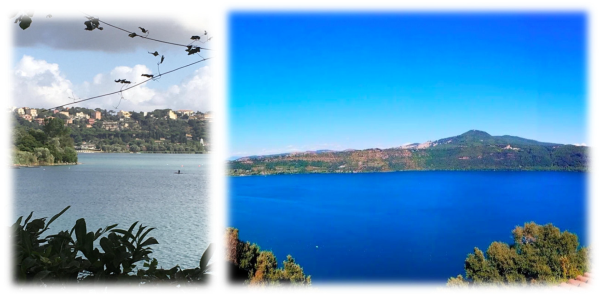 Preprints 106703 g001