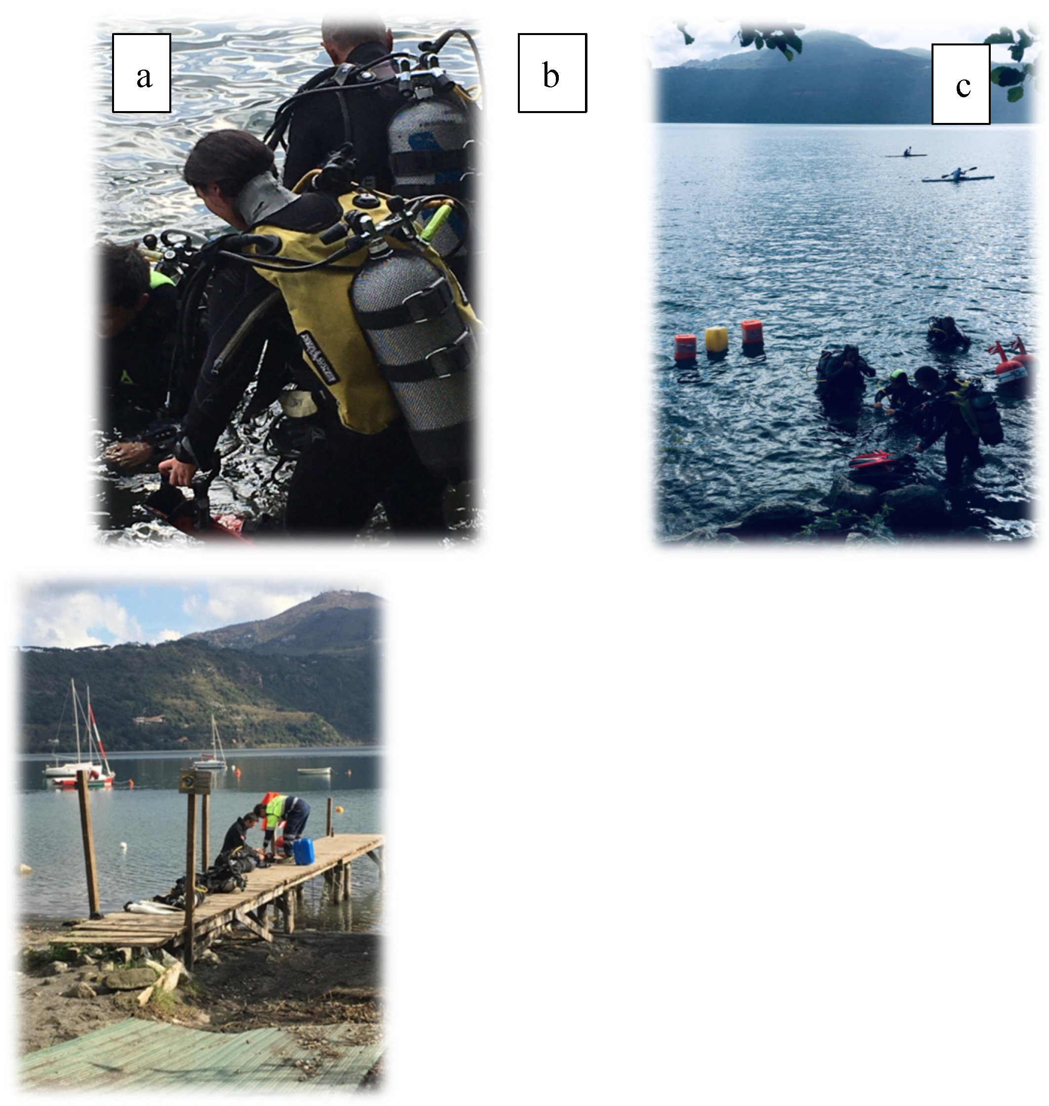 Preprints 106703 g002