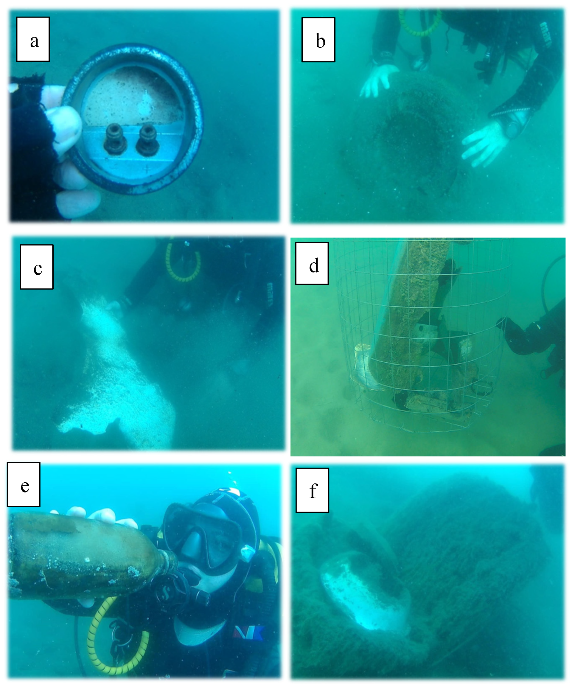 Preprints 106703 g003